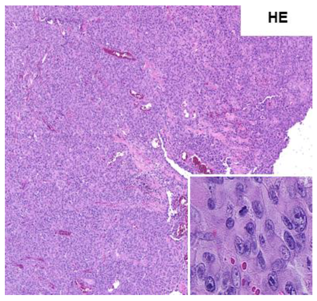 Medicina 58 00951 g001