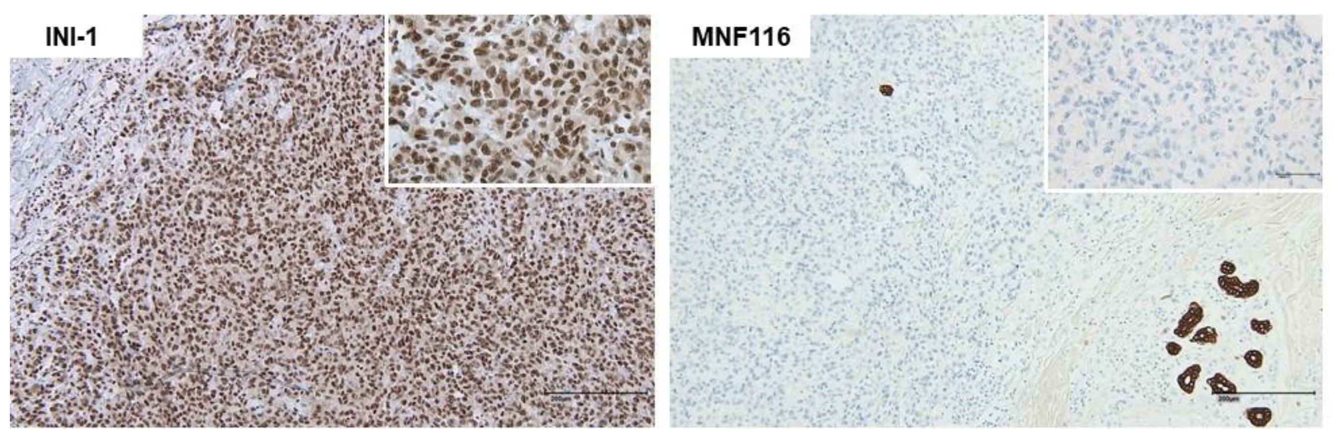 Medicina 58 00951 g002