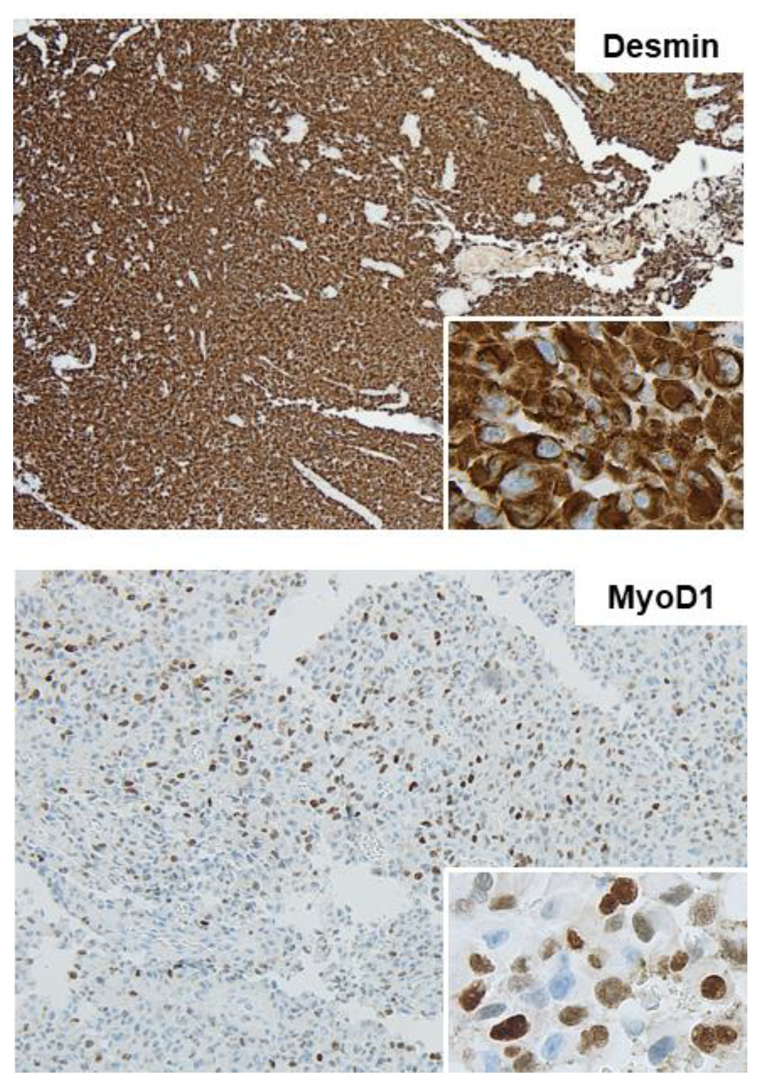 Medicina 58 00951 g003