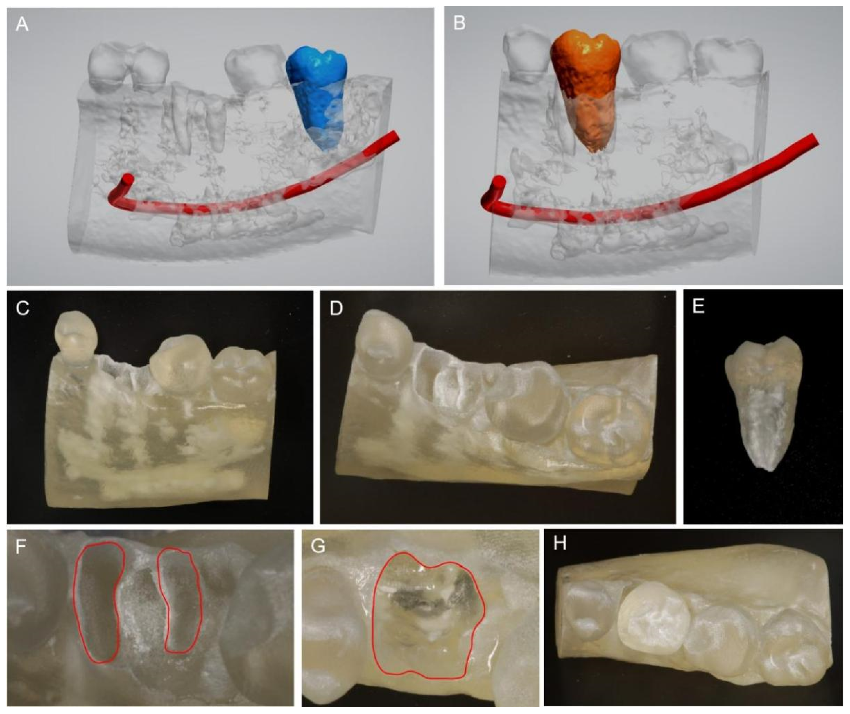 Medicina 58 00953 g002