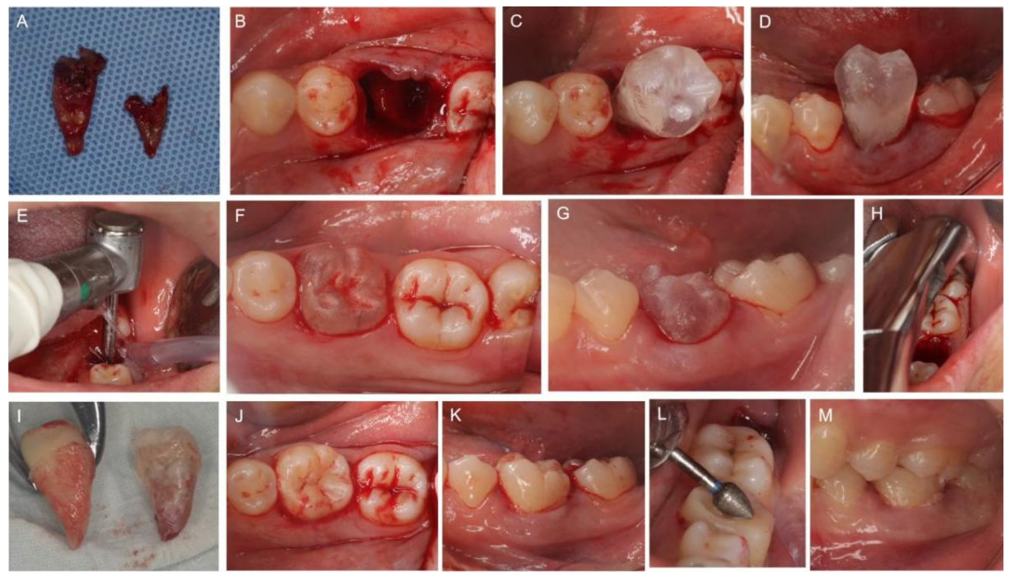 Medicina 58 00953 g003