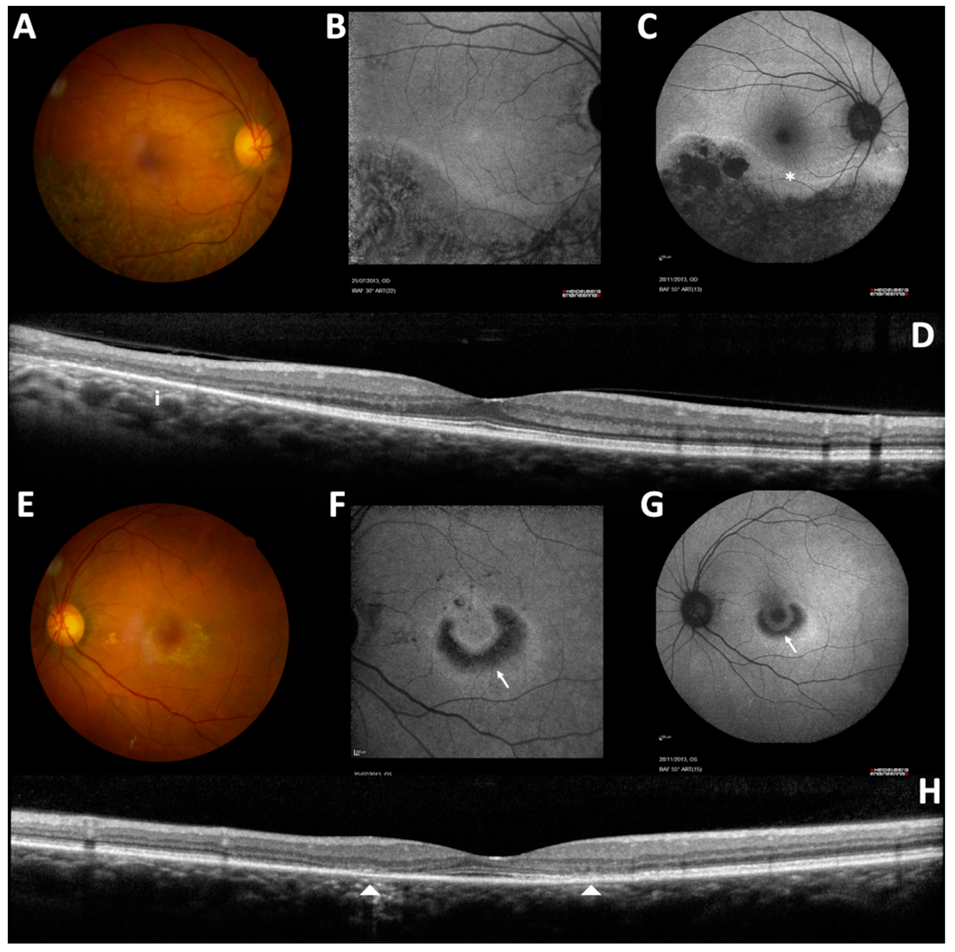 Medicina 58 00967 g003