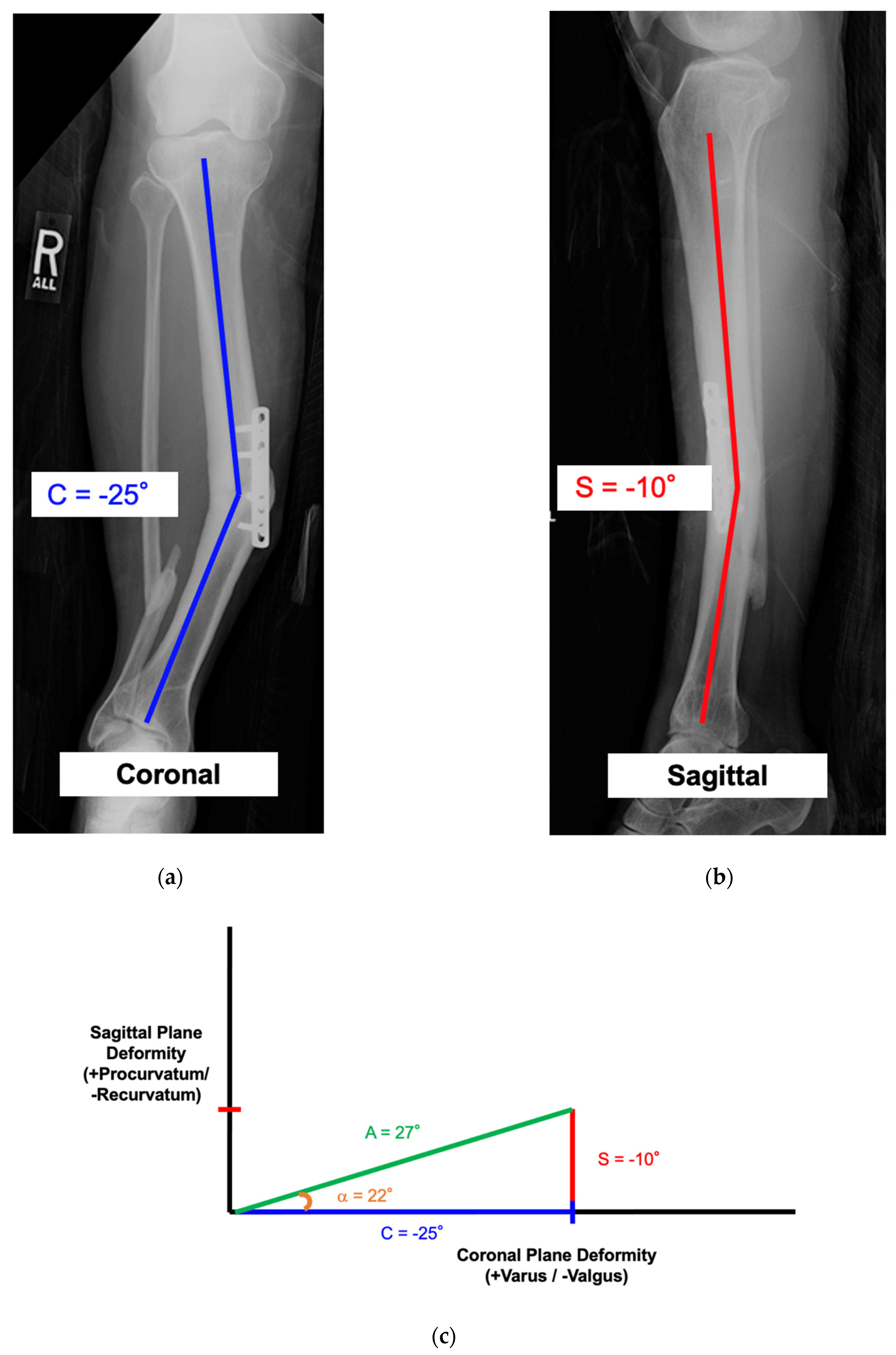 Medicina 58 00971 g007a
