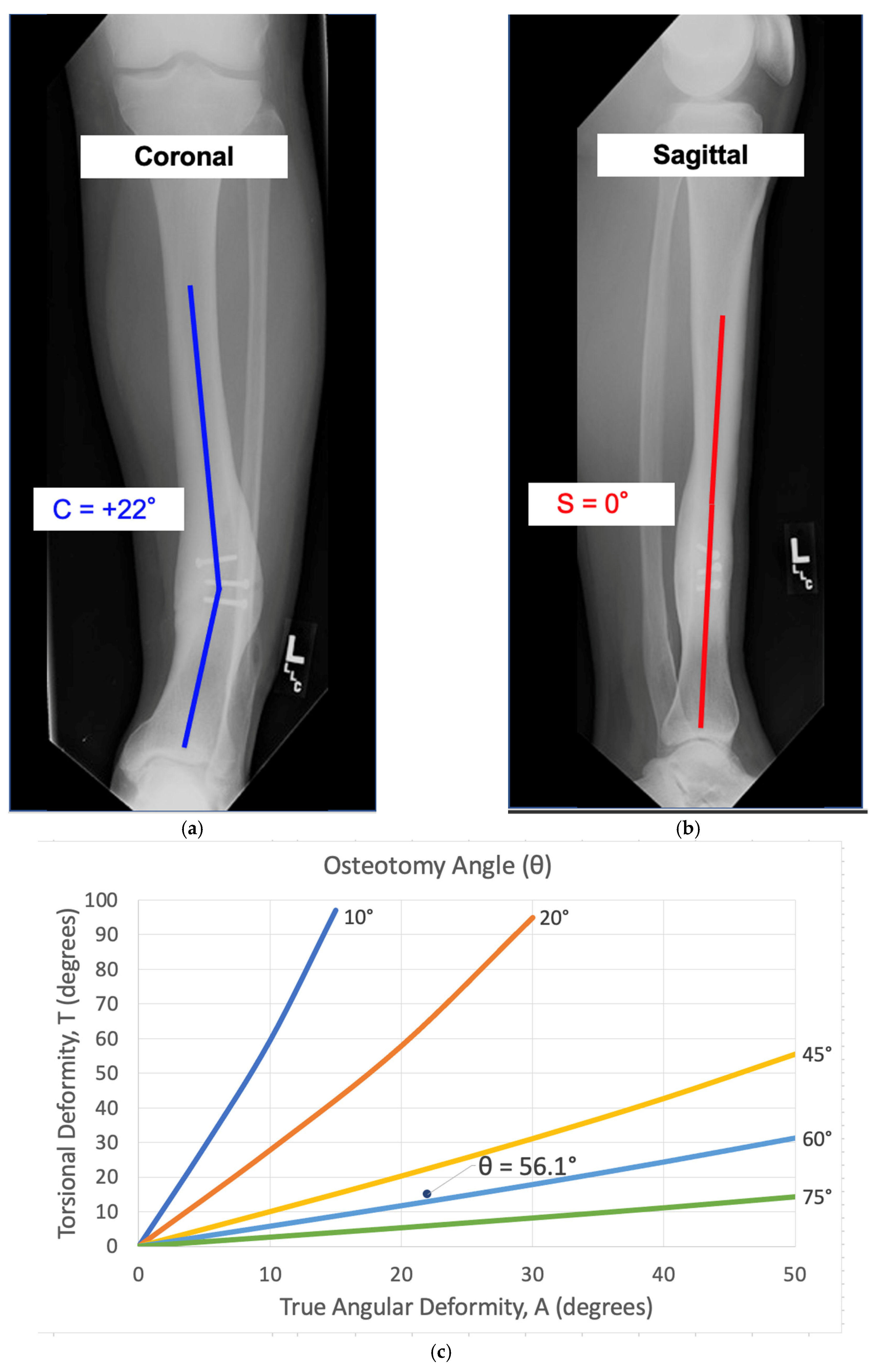 Medicina 58 00971 g008a
