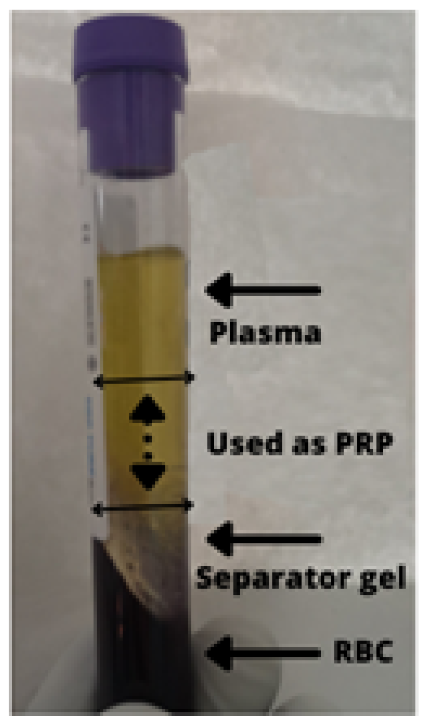 Medicina 58 00988 g001