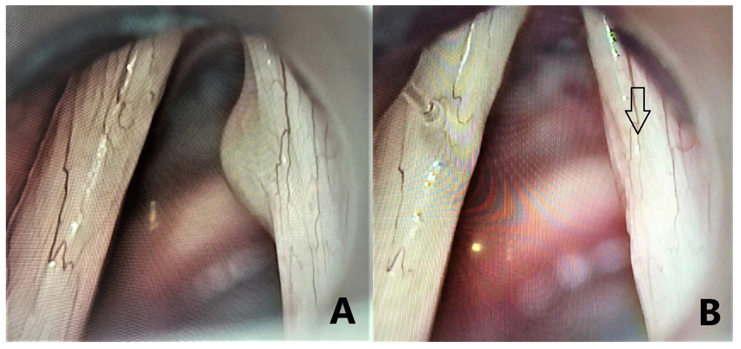 Medicina 58 00988 g002