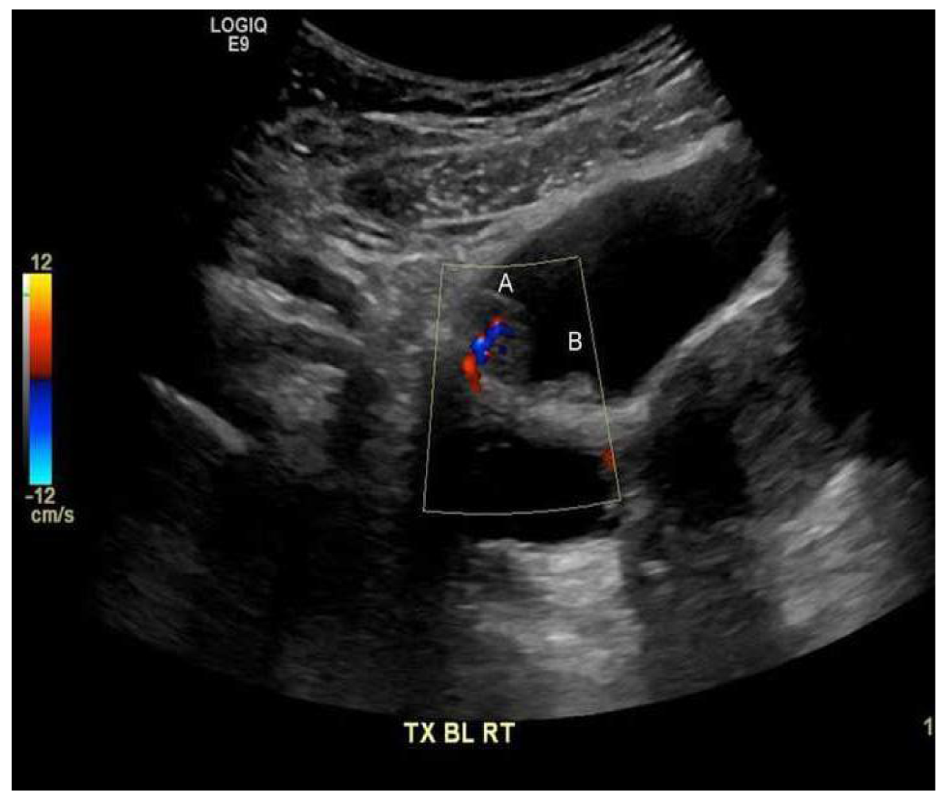 Medicina 58 01001 g001