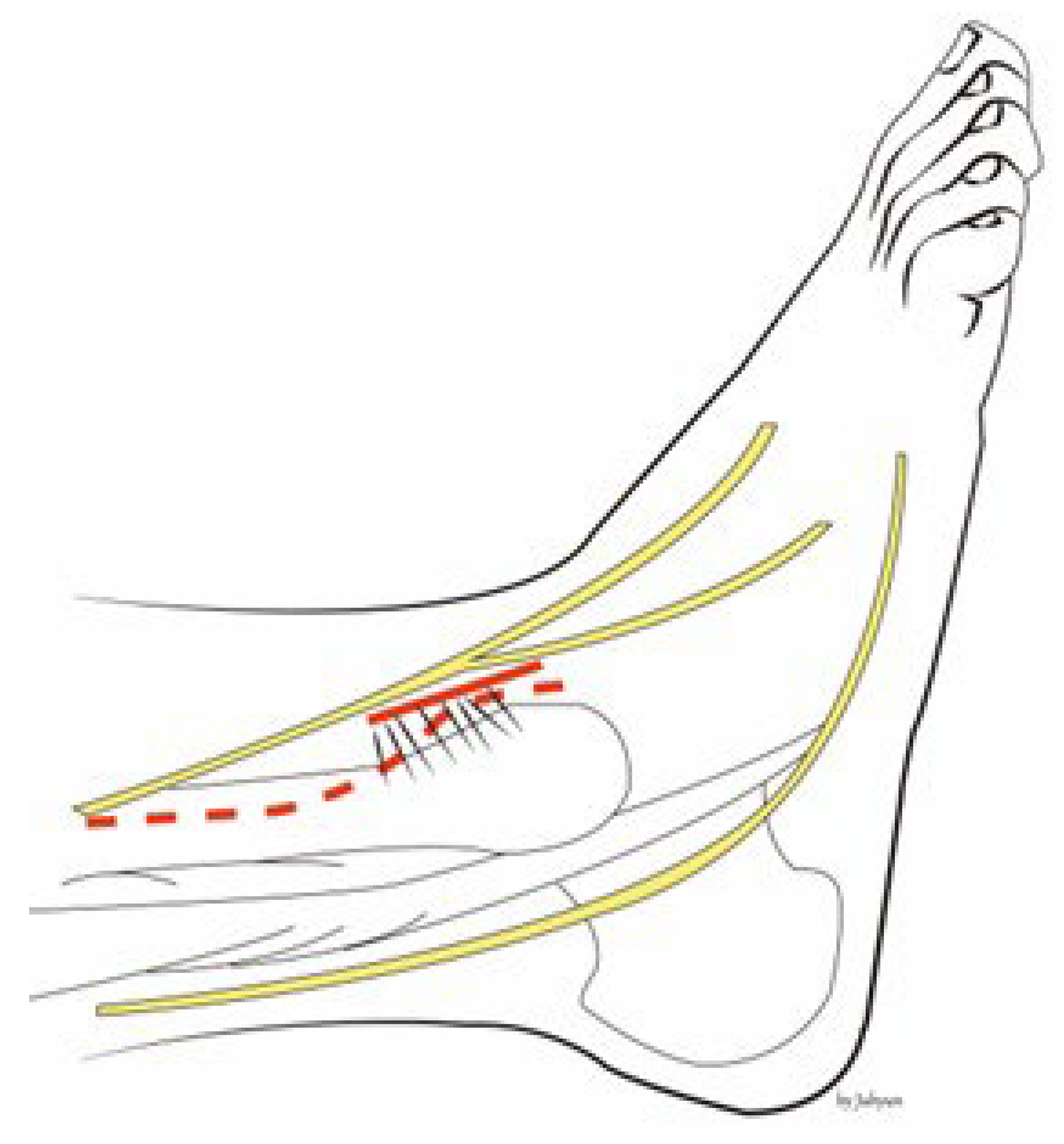 Medicina 58 01005 g001