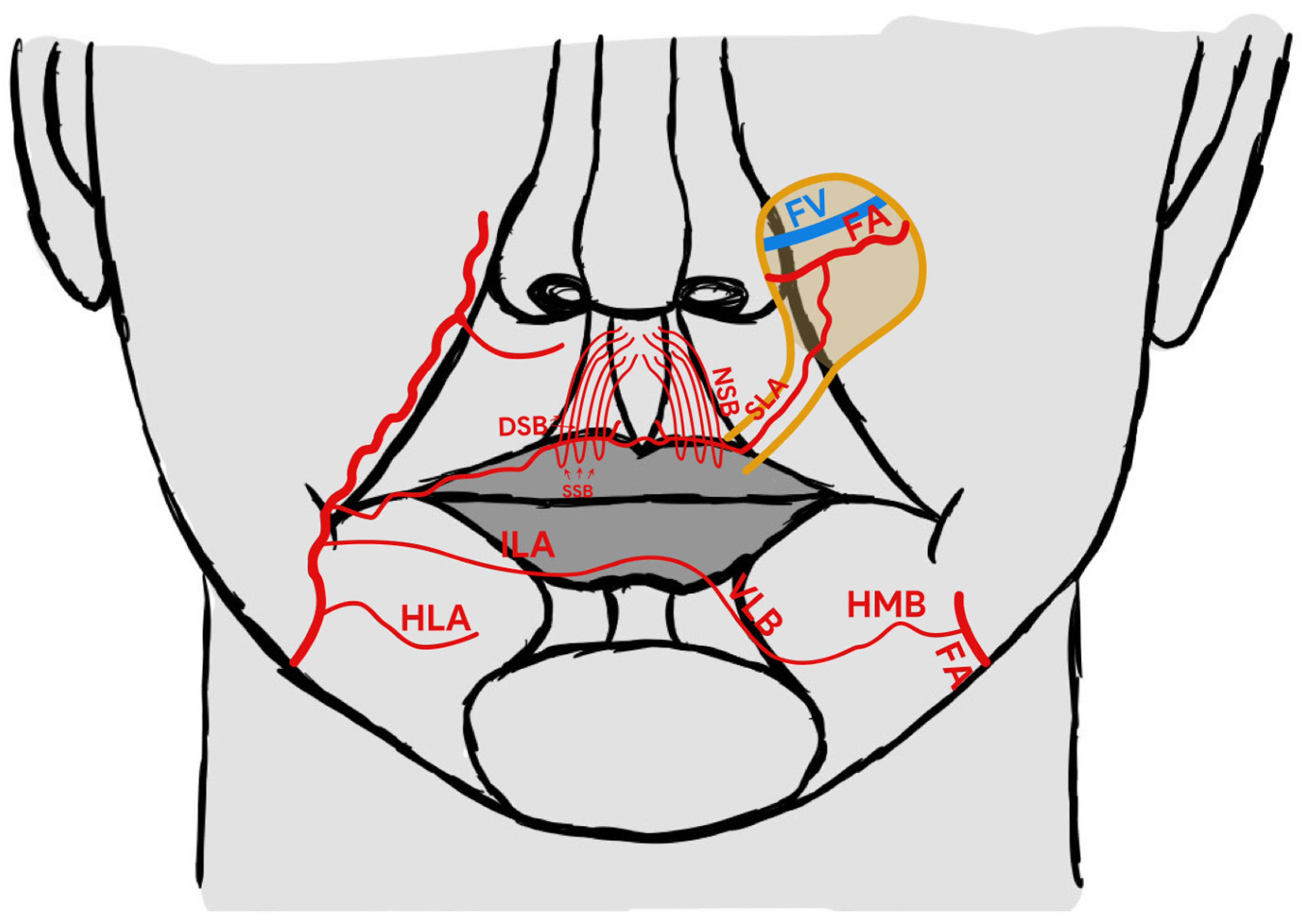 Medicina 58 01012 g002