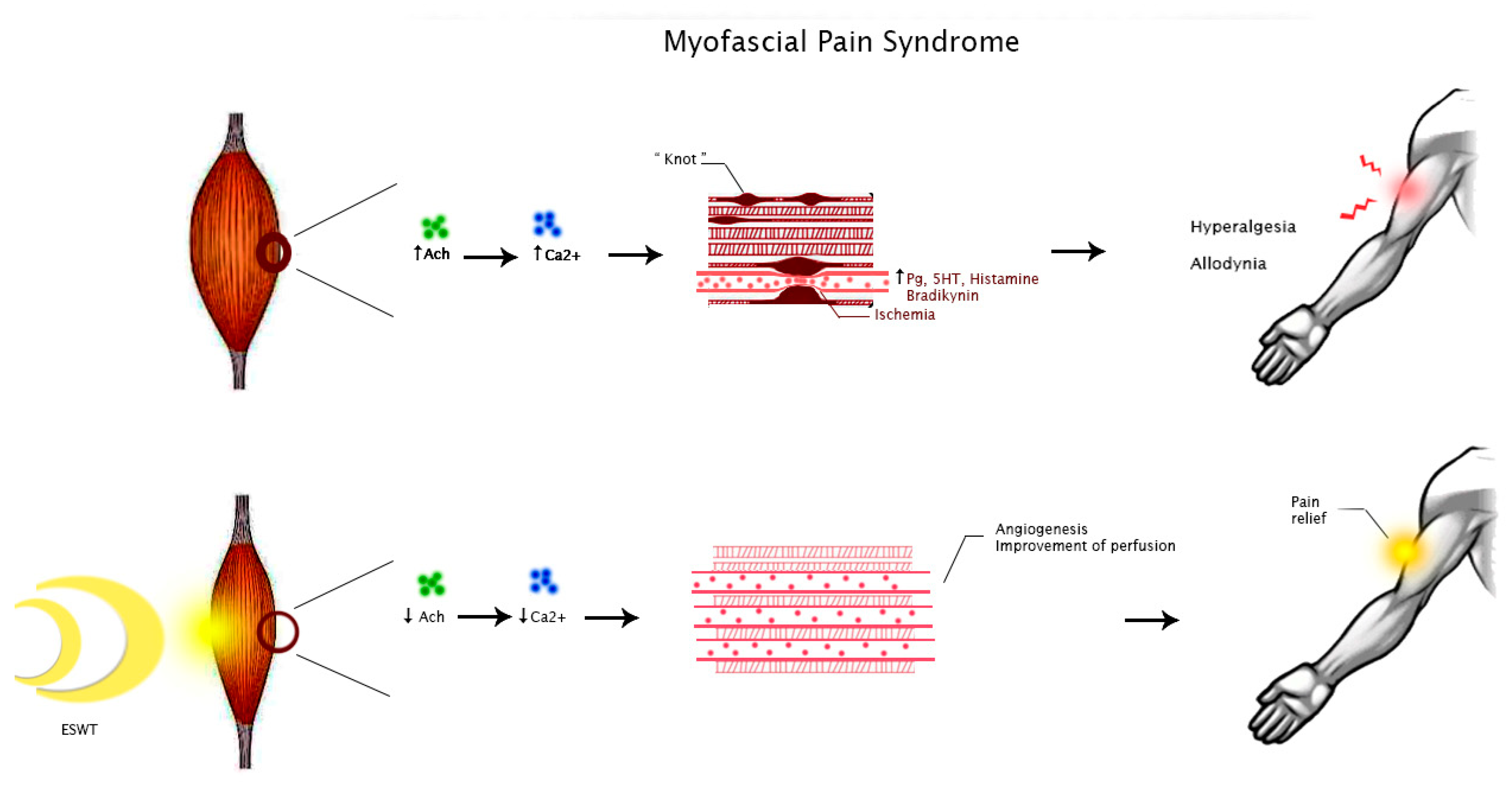 Medicina 58 01014 g002