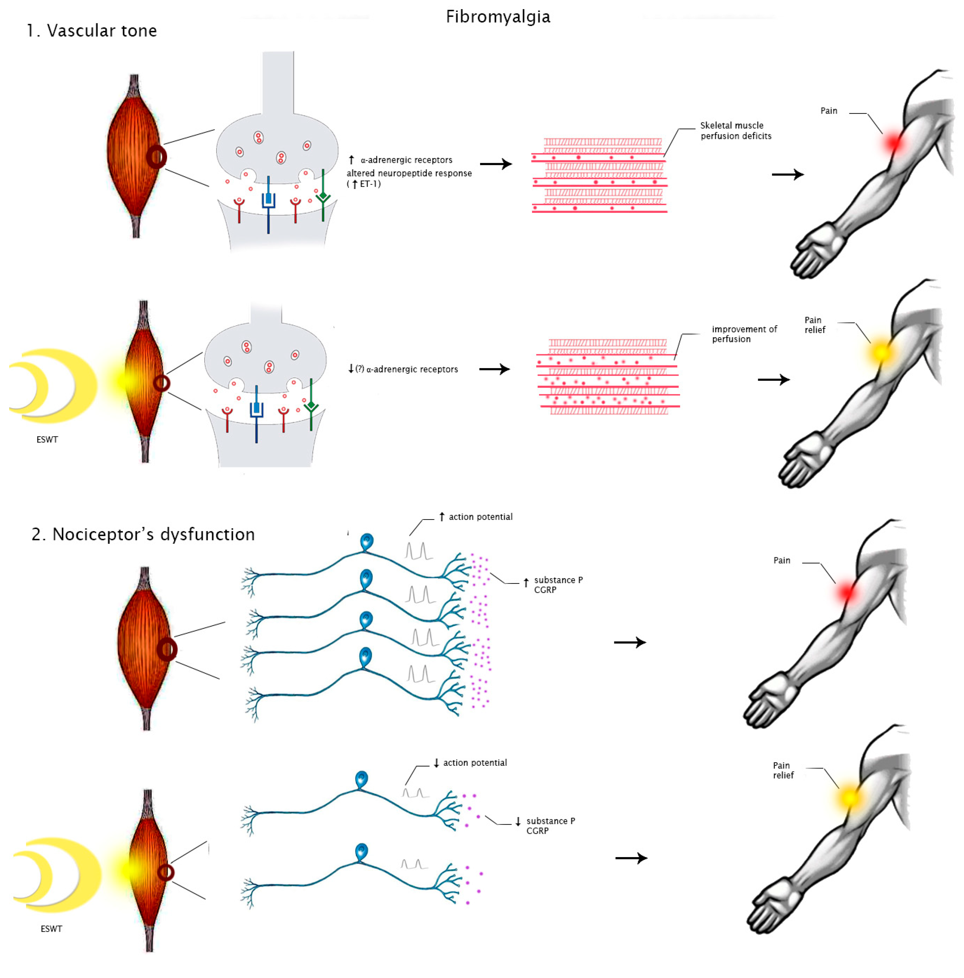 Medicina 58 01014 g003
