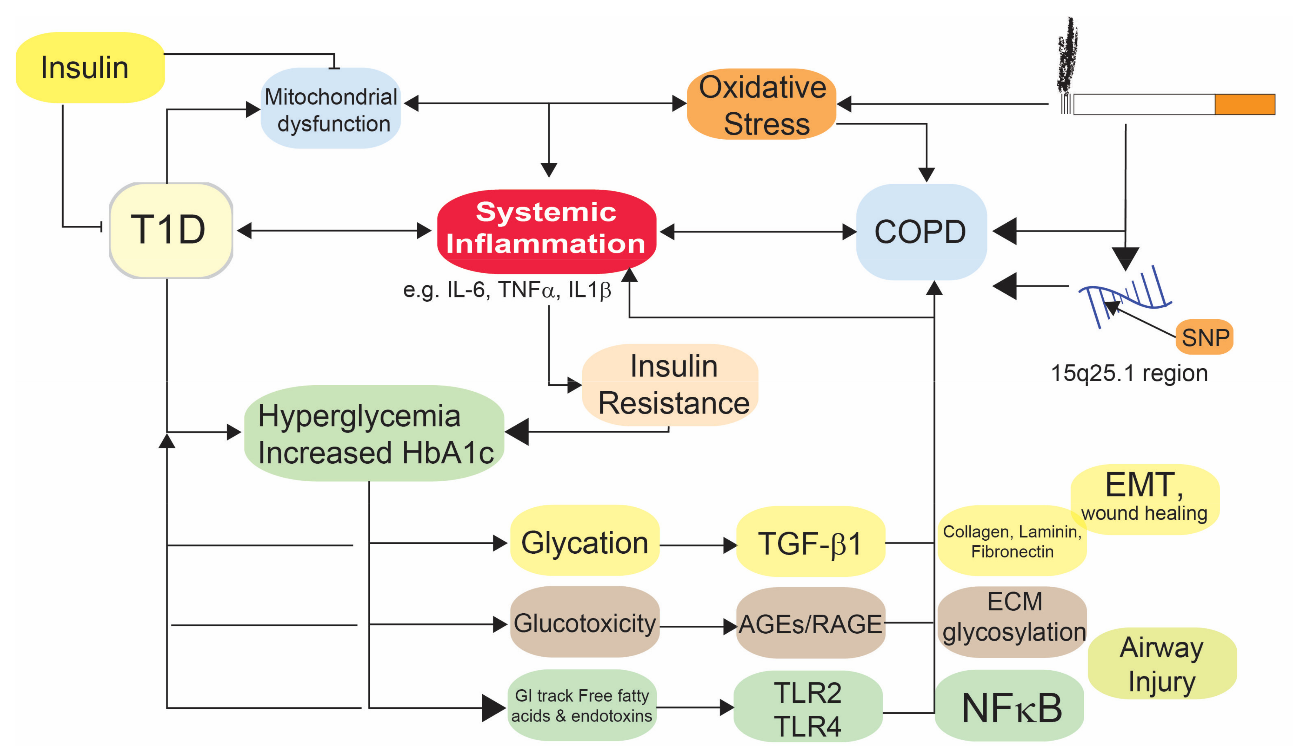 Medicina 58 01030 g001