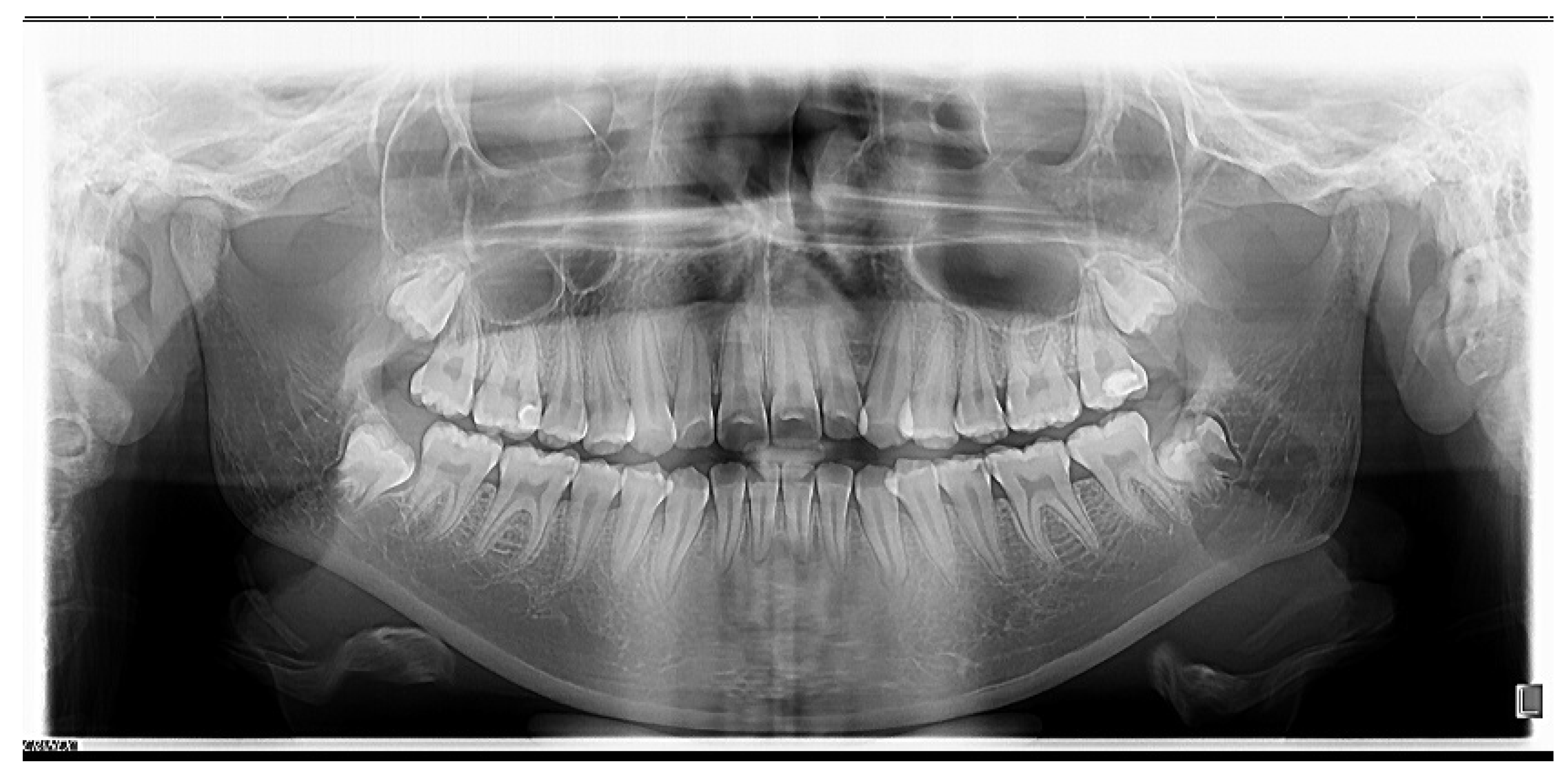 Medicina 58 01043 g002