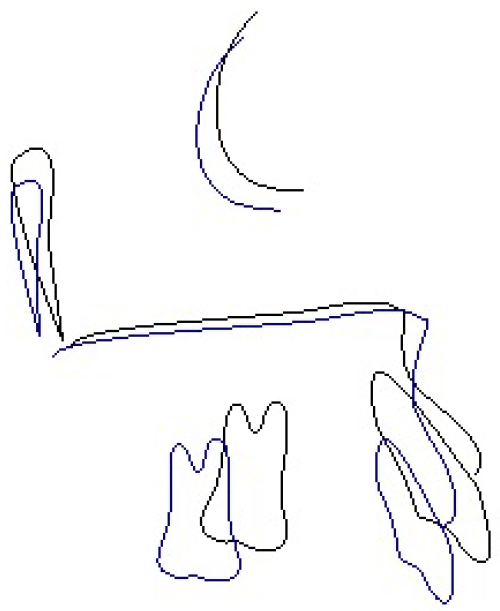 Medicina 58 01043 g007b