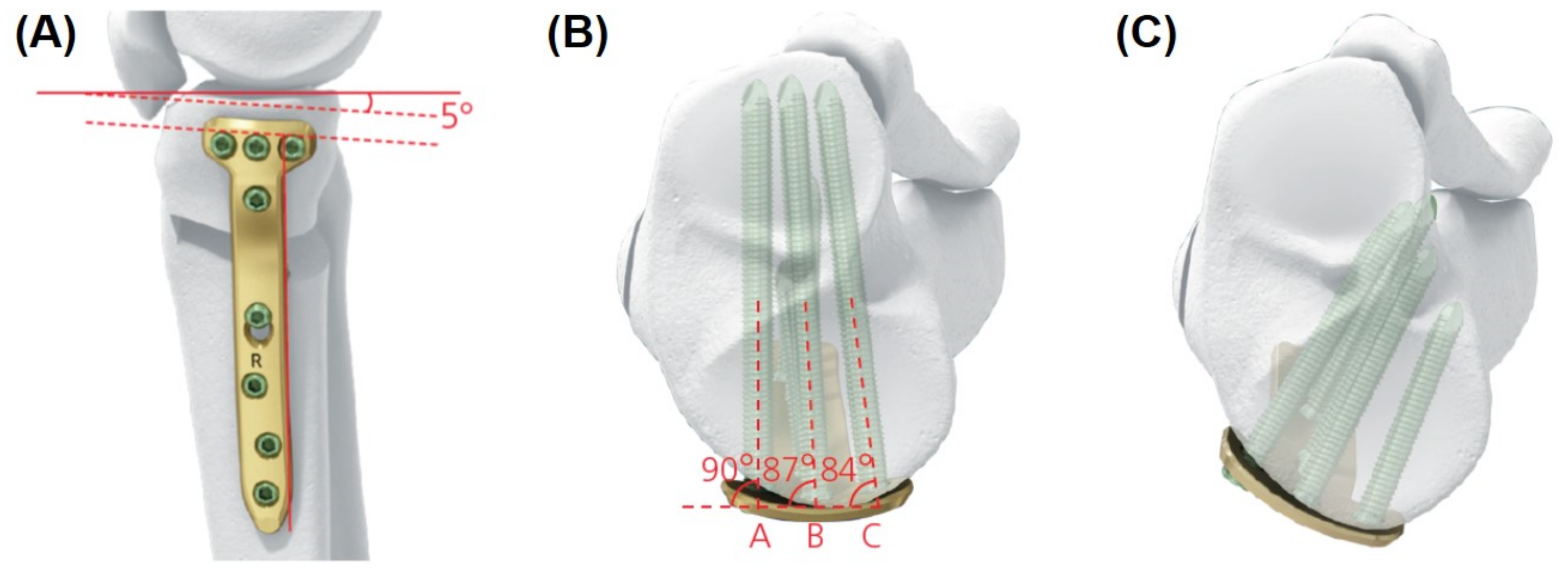 Medicina 58 01045 g001