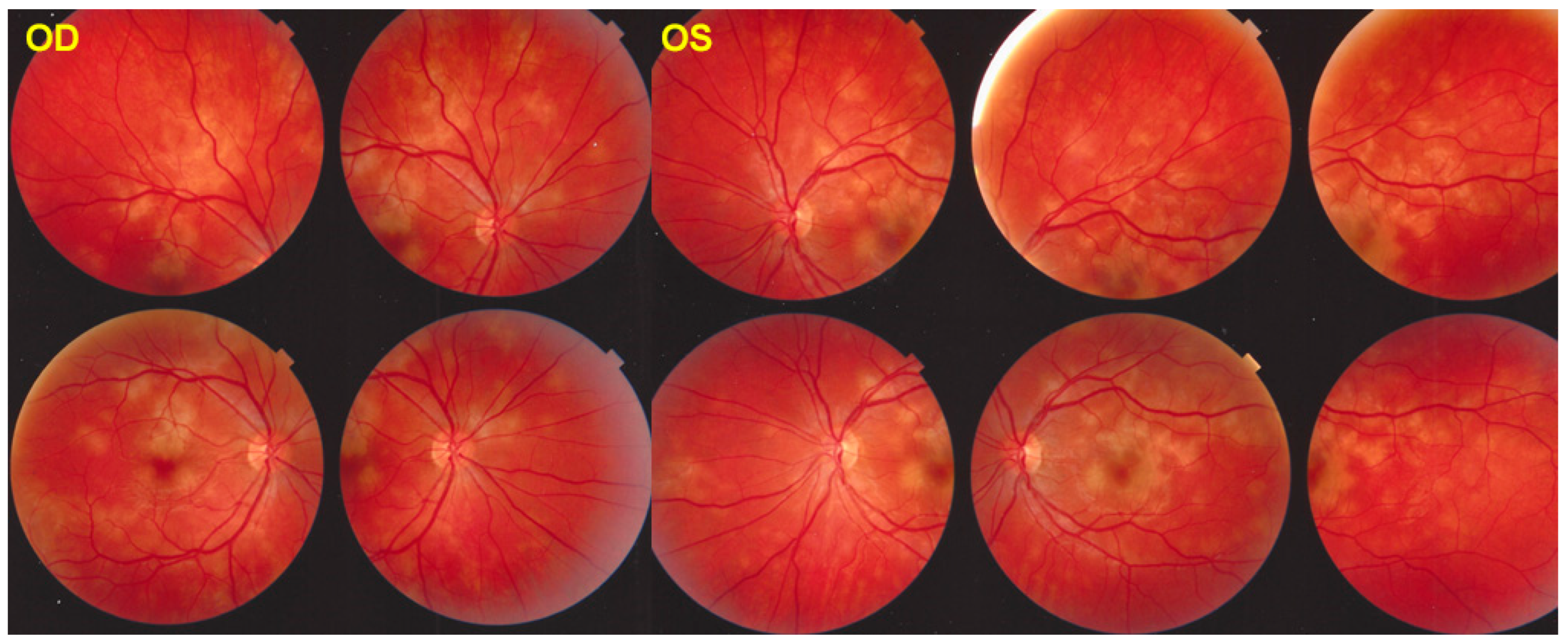 Medicina 58 01070 g003