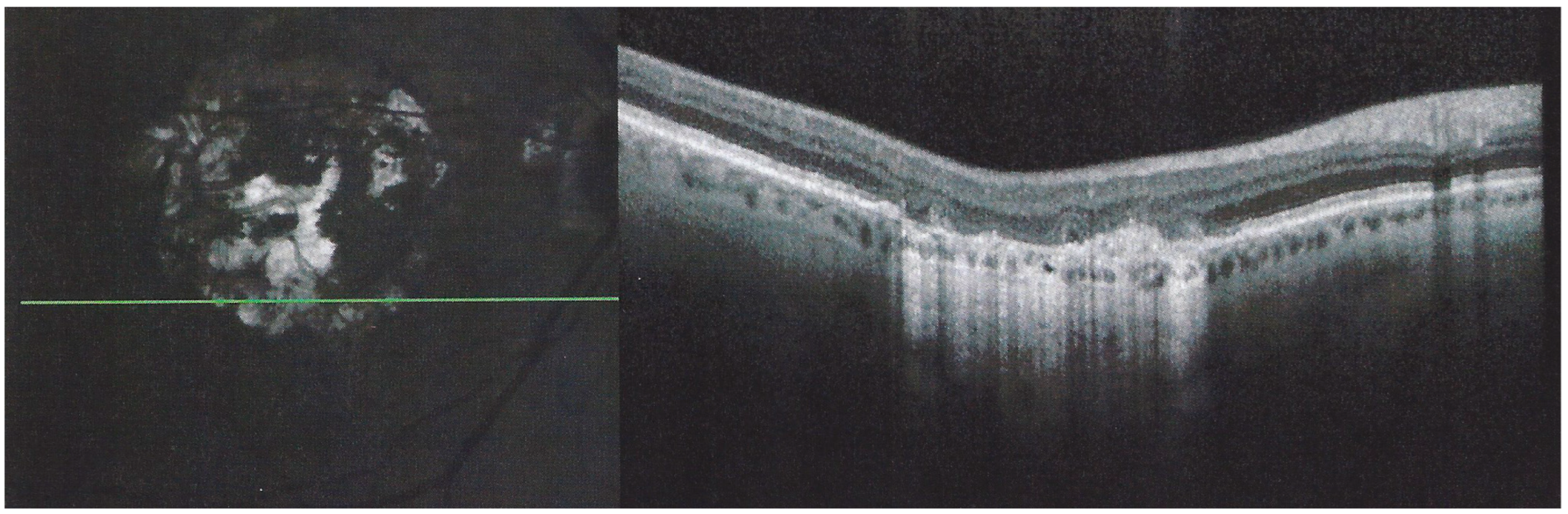 Medicina 58 01070 g015