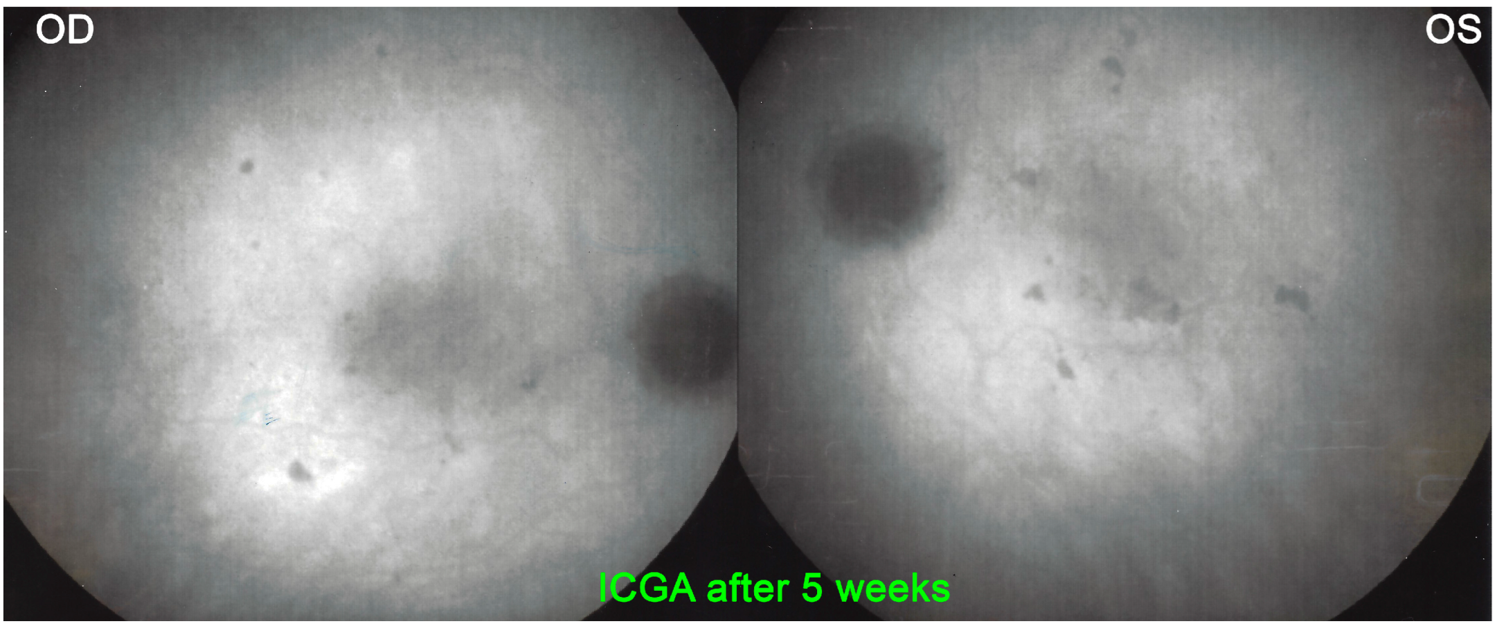 Medicina 58 01070 g019