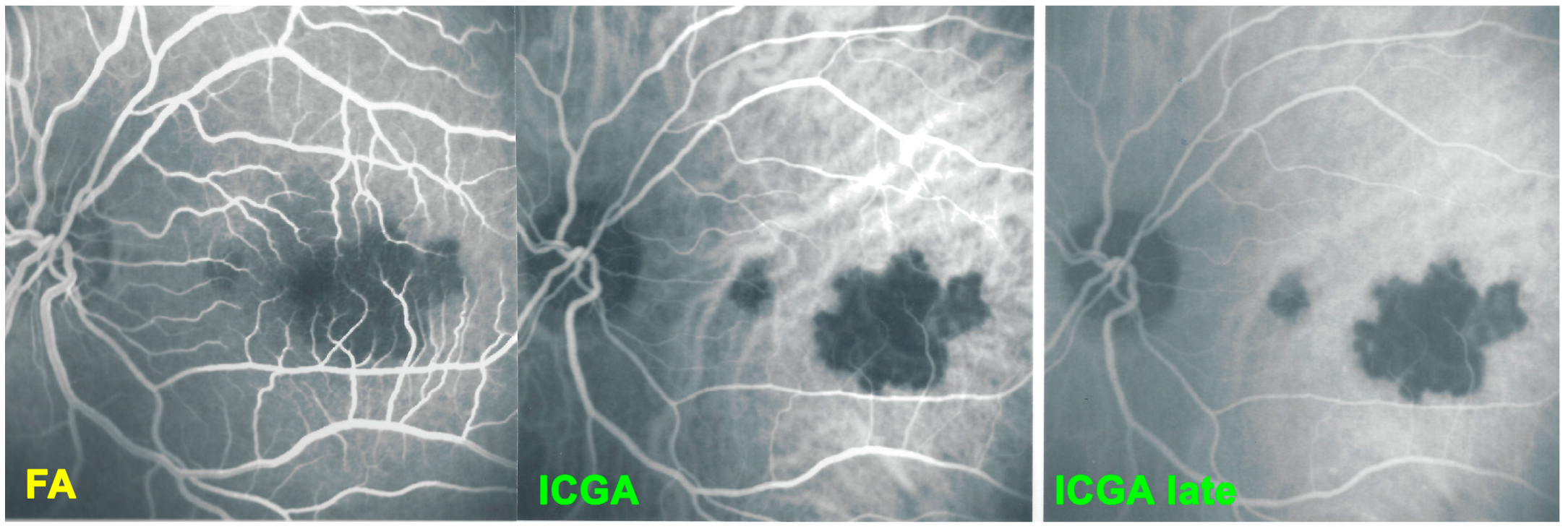 Medicina 58 01070 g020