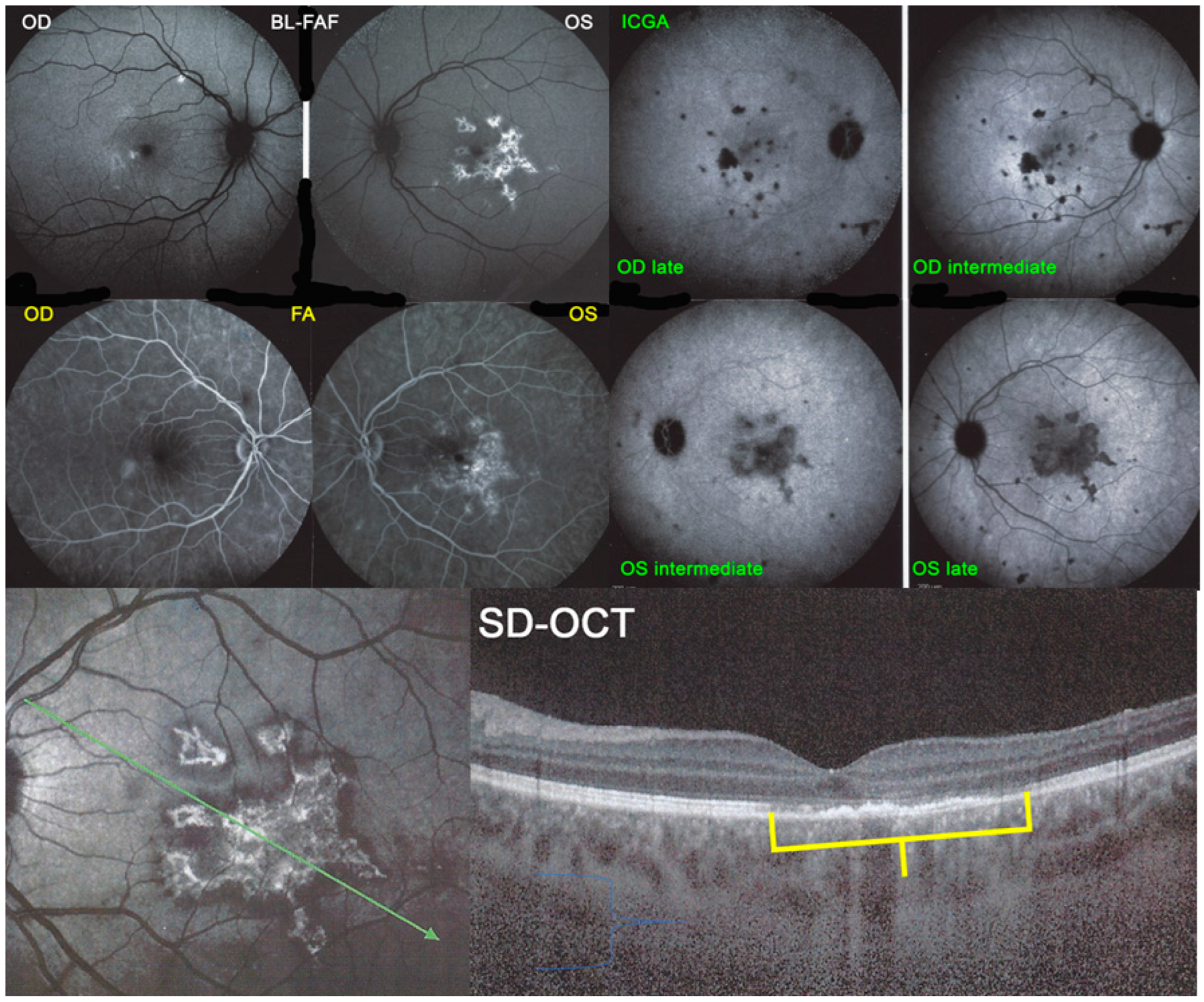 Medicina 58 01070 g024