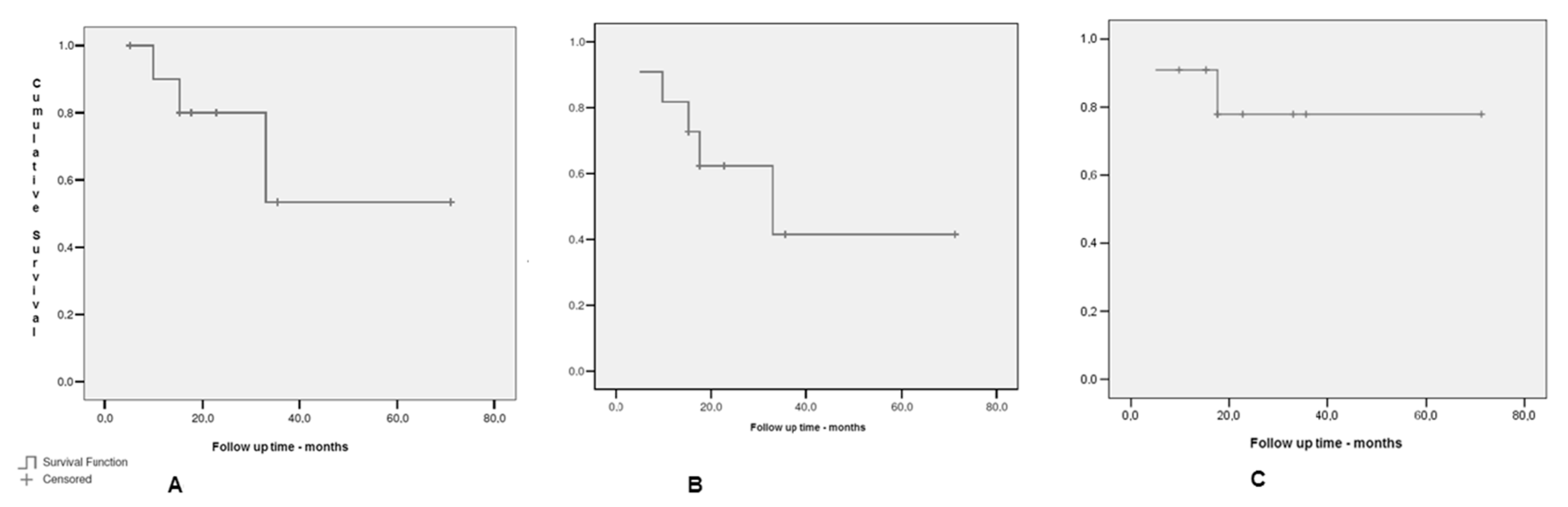 Medicina 58 01074 g002