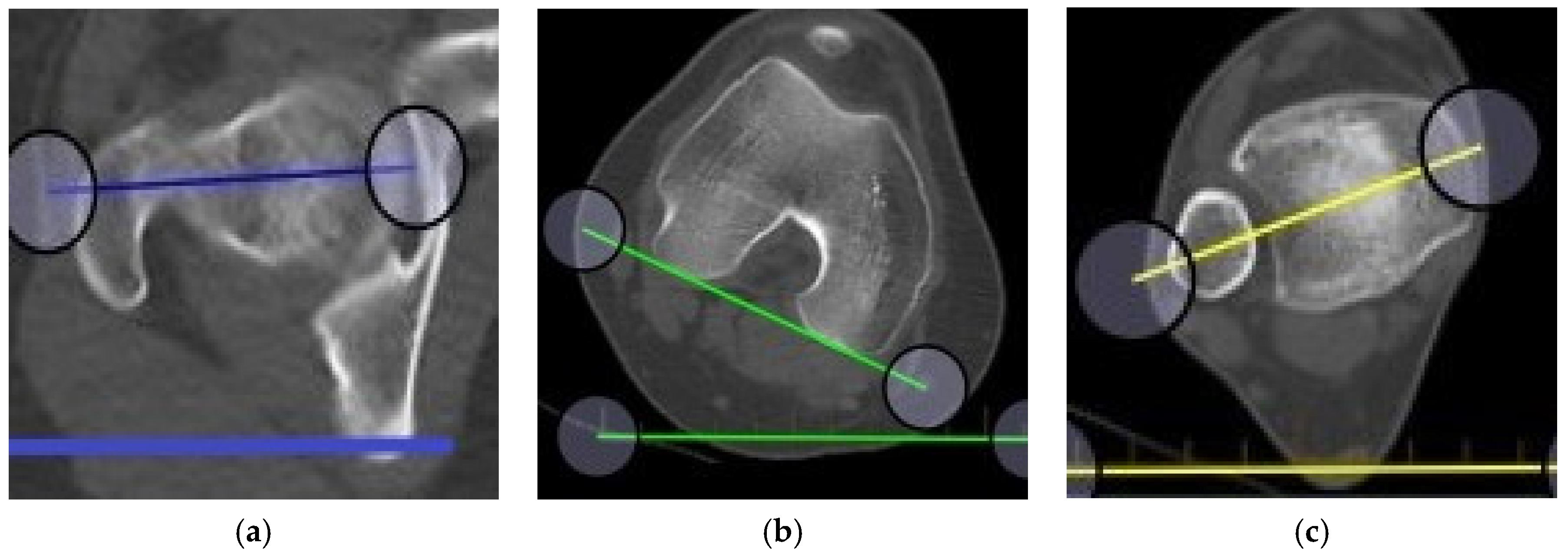 Medicina 58 01079 g001