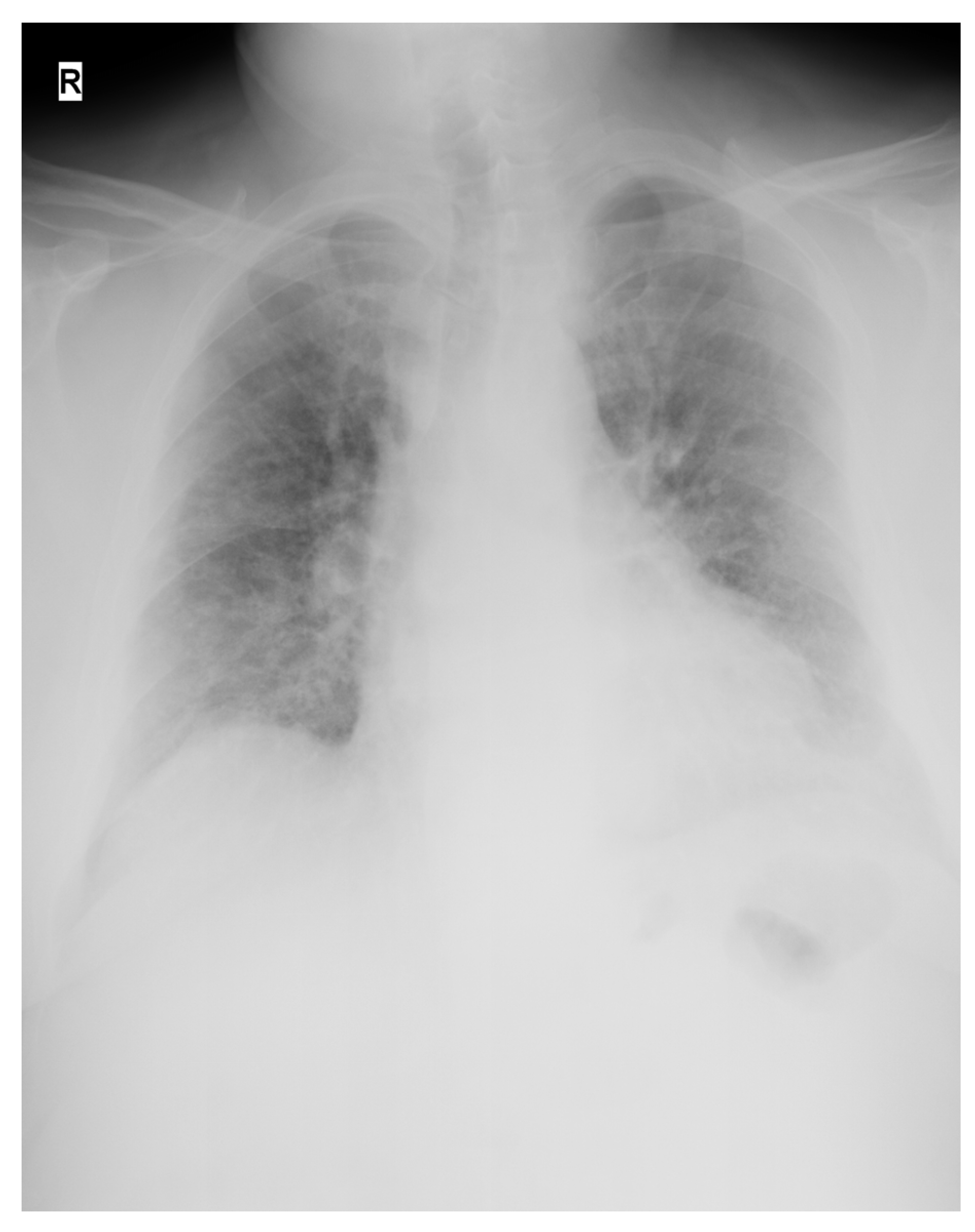 Medicina 58 01088 g001