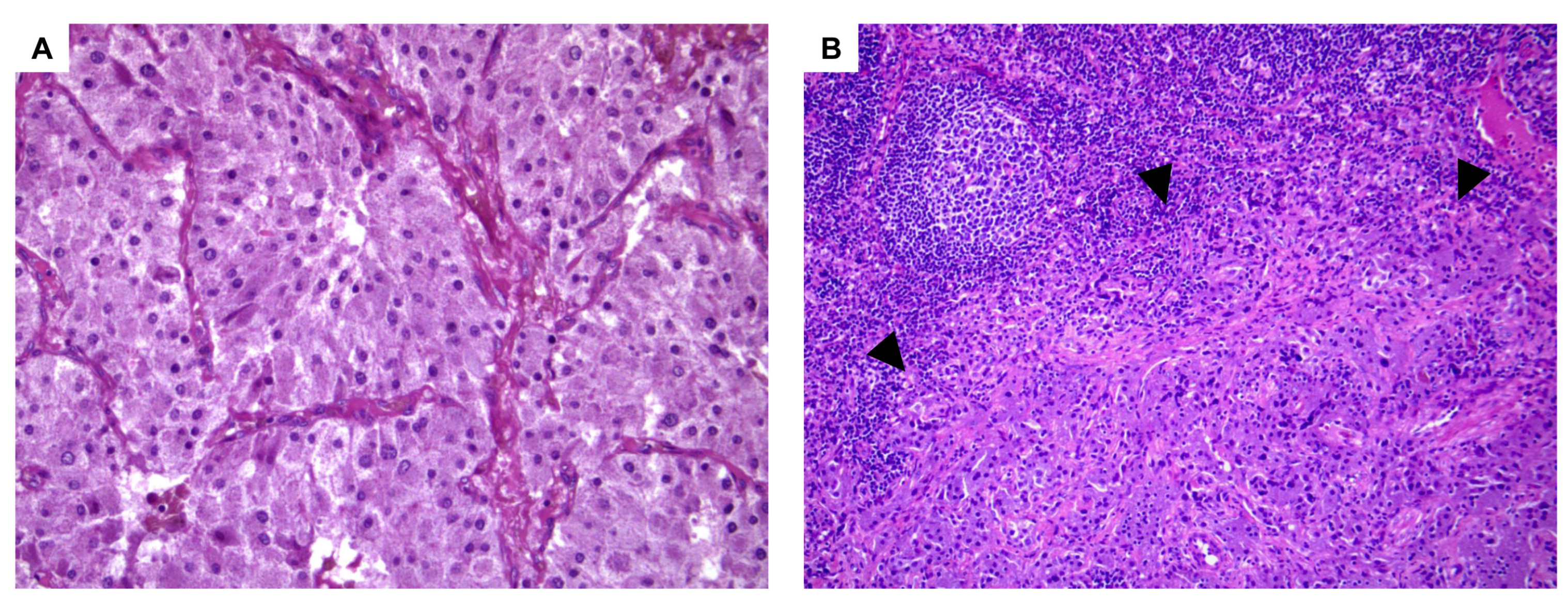 Medicina 58 01113 g002