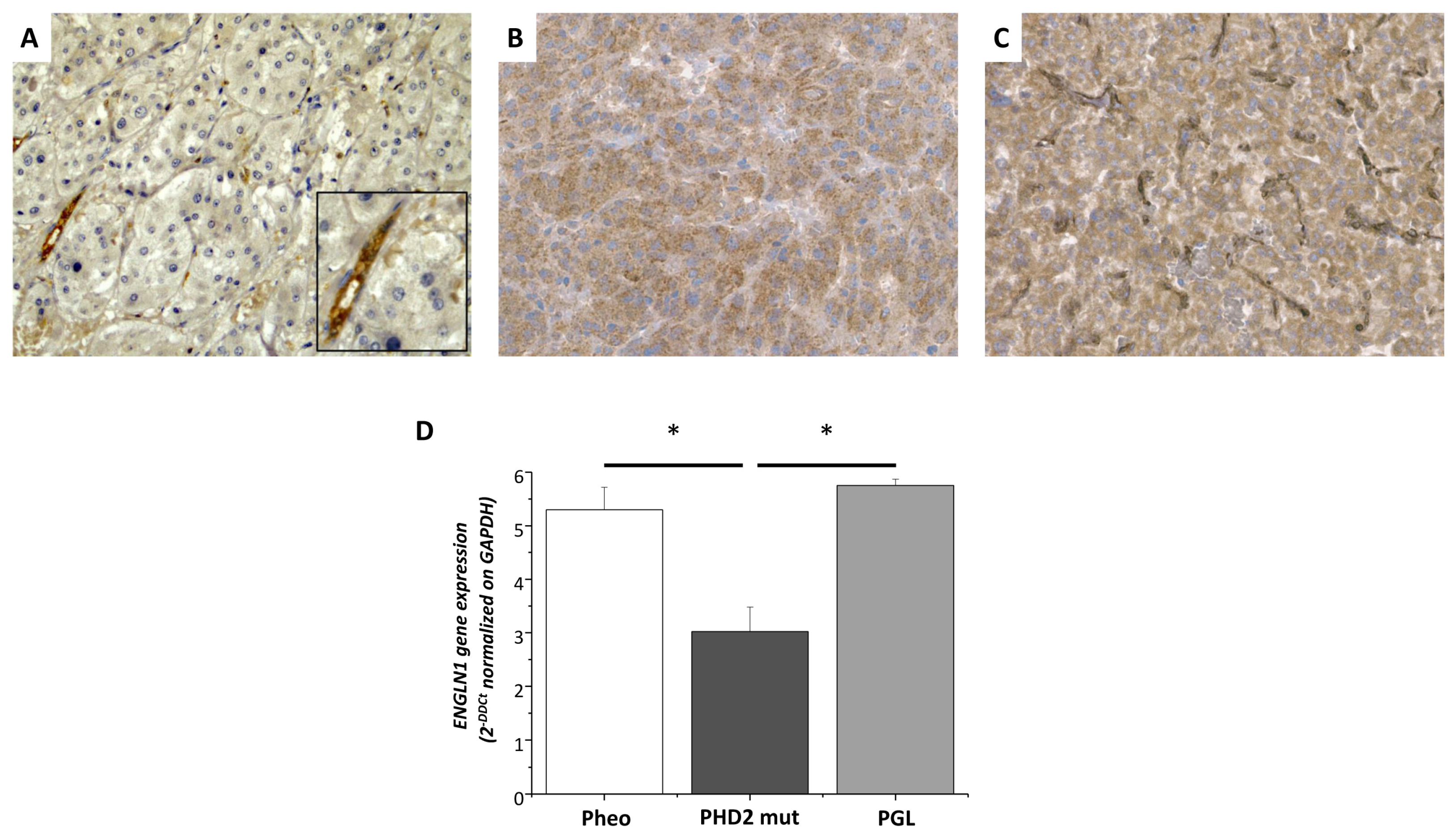 Medicina 58 01113 g006