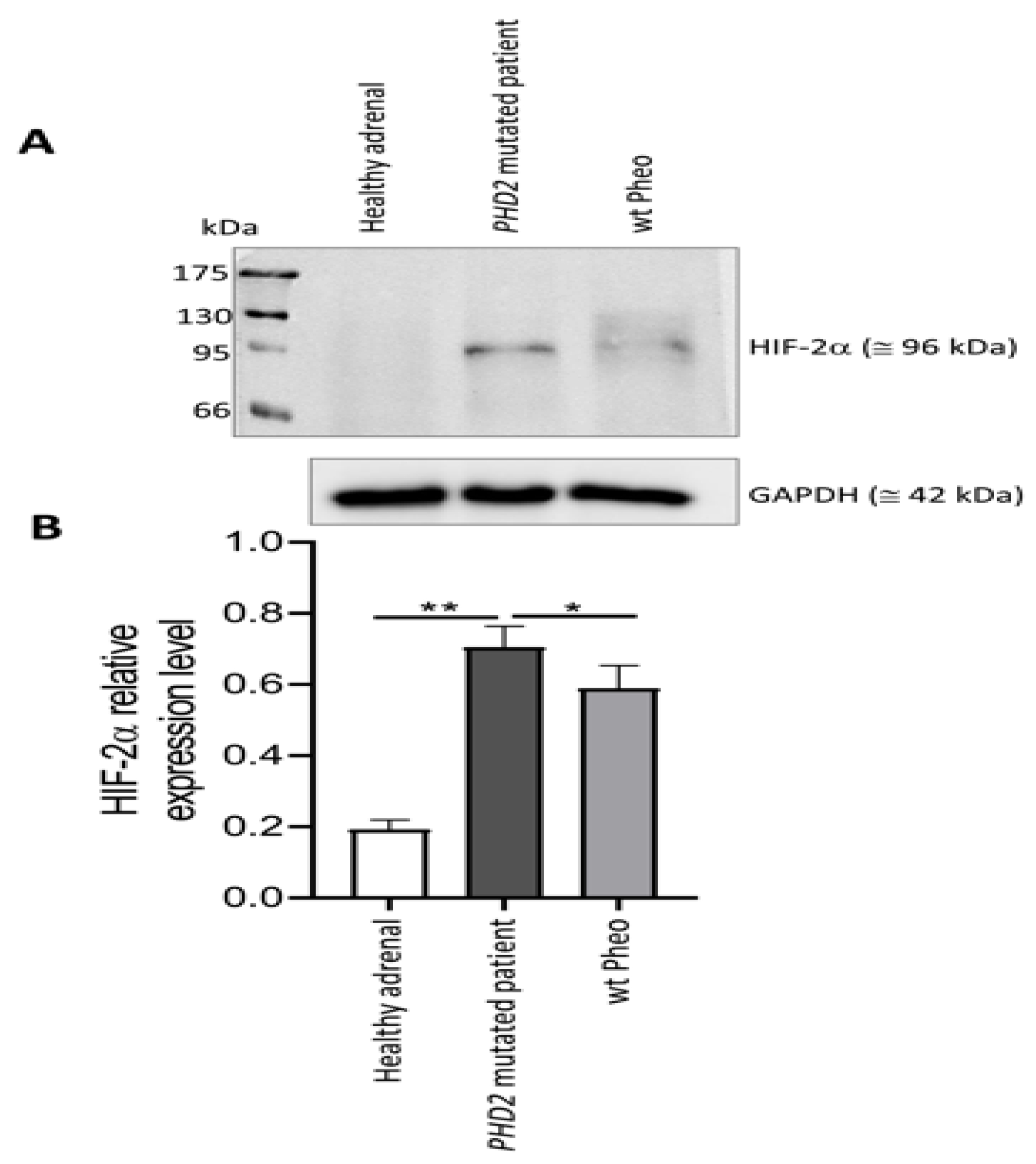 Medicina 58 01113 g007