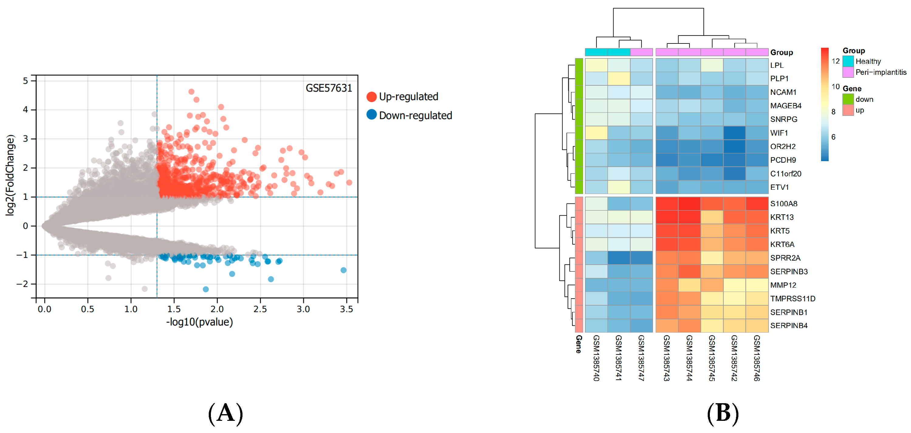 Medicina 58 01124 g001