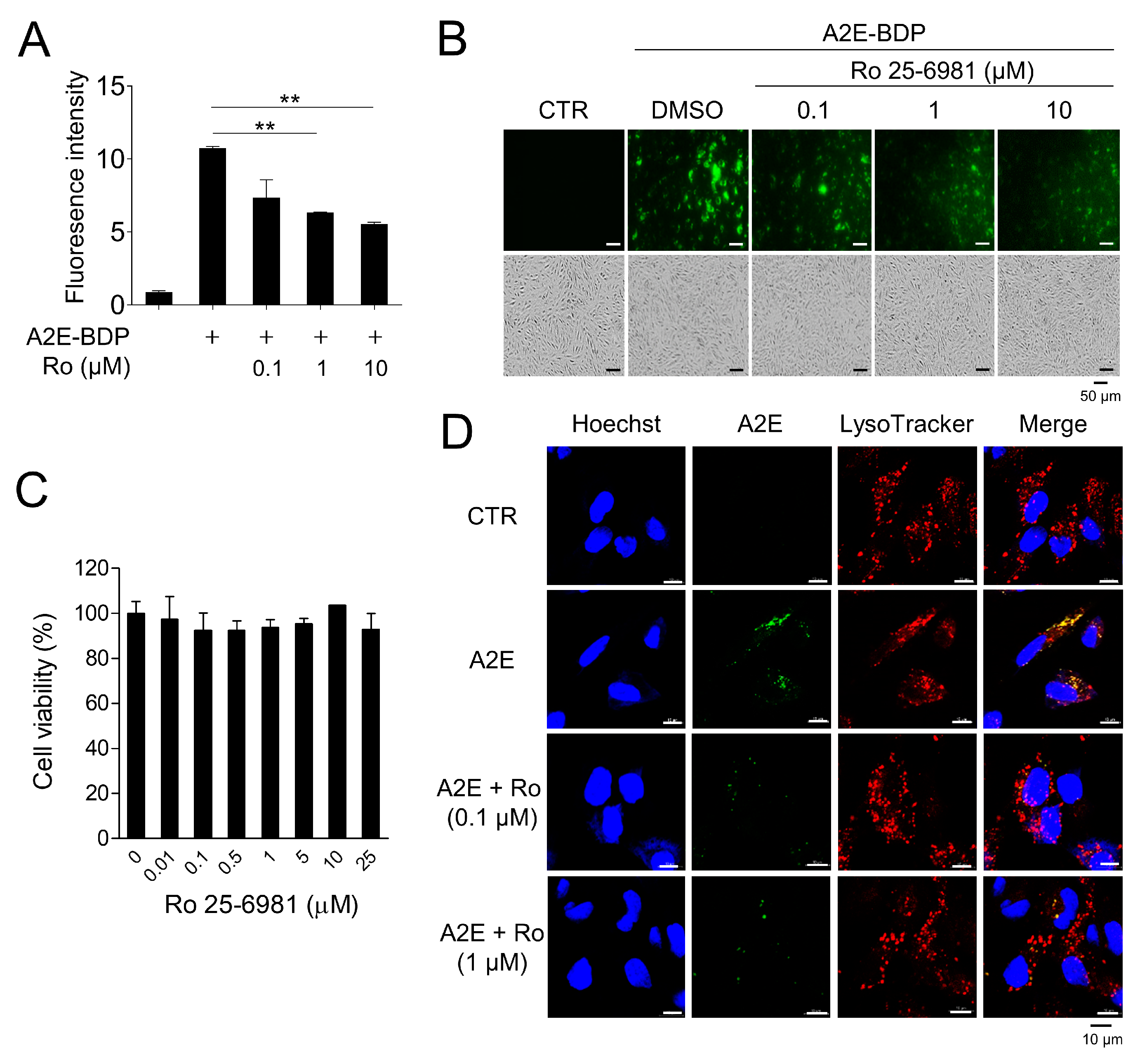 Medicina 58 01129 g001