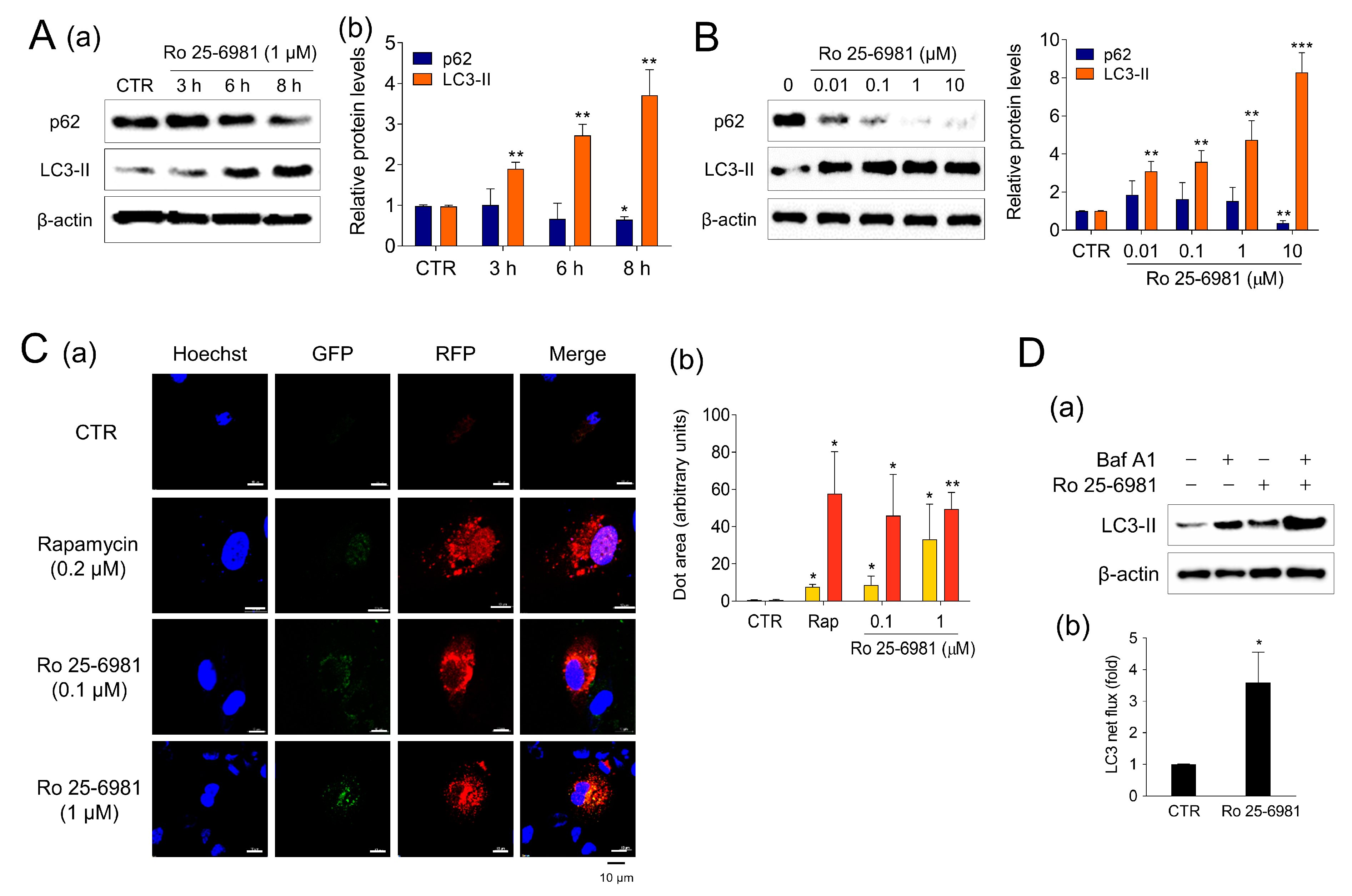 Medicina 58 01129 g002