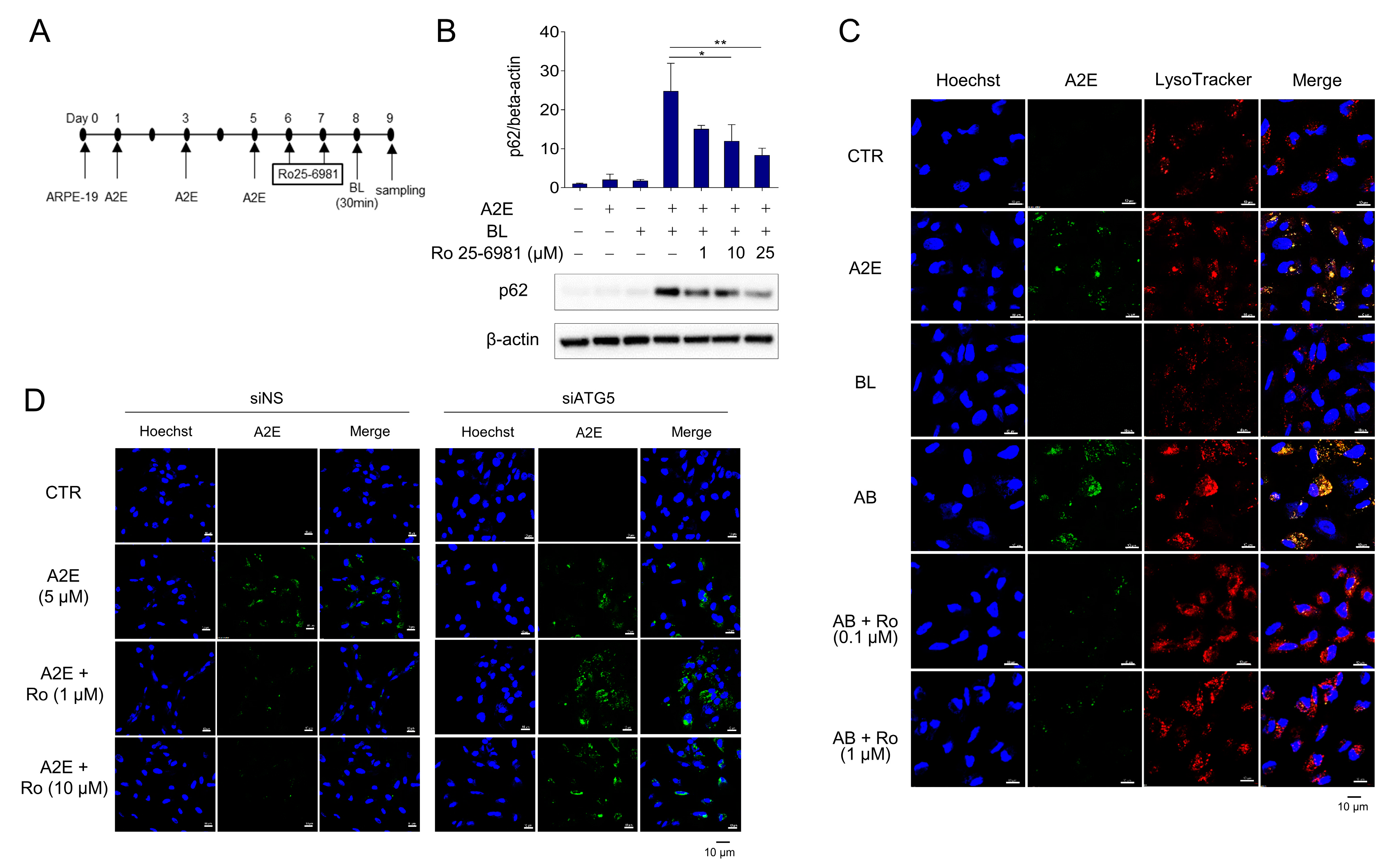 Medicina 58 01129 g003