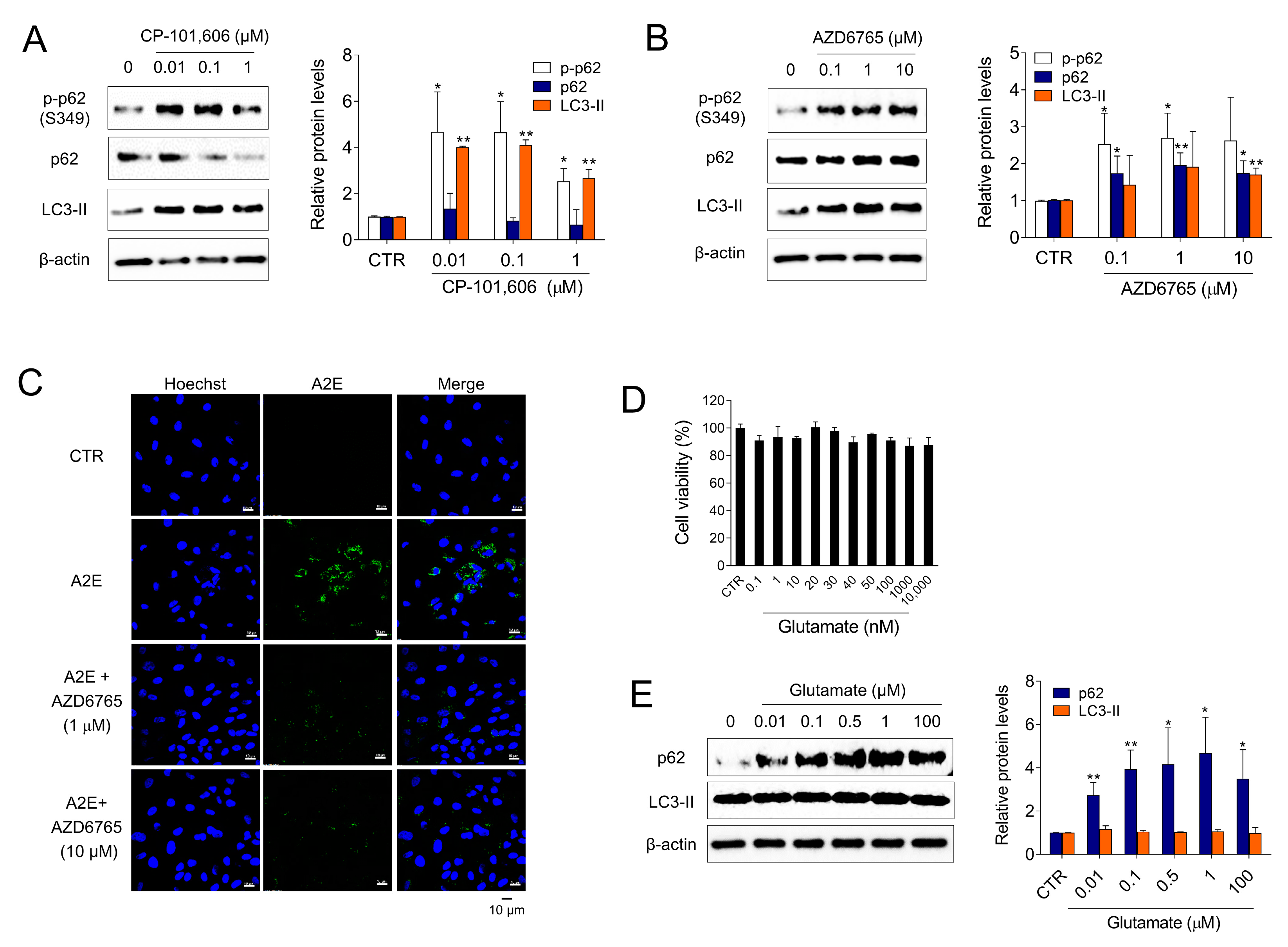 Medicina 58 01129 g004