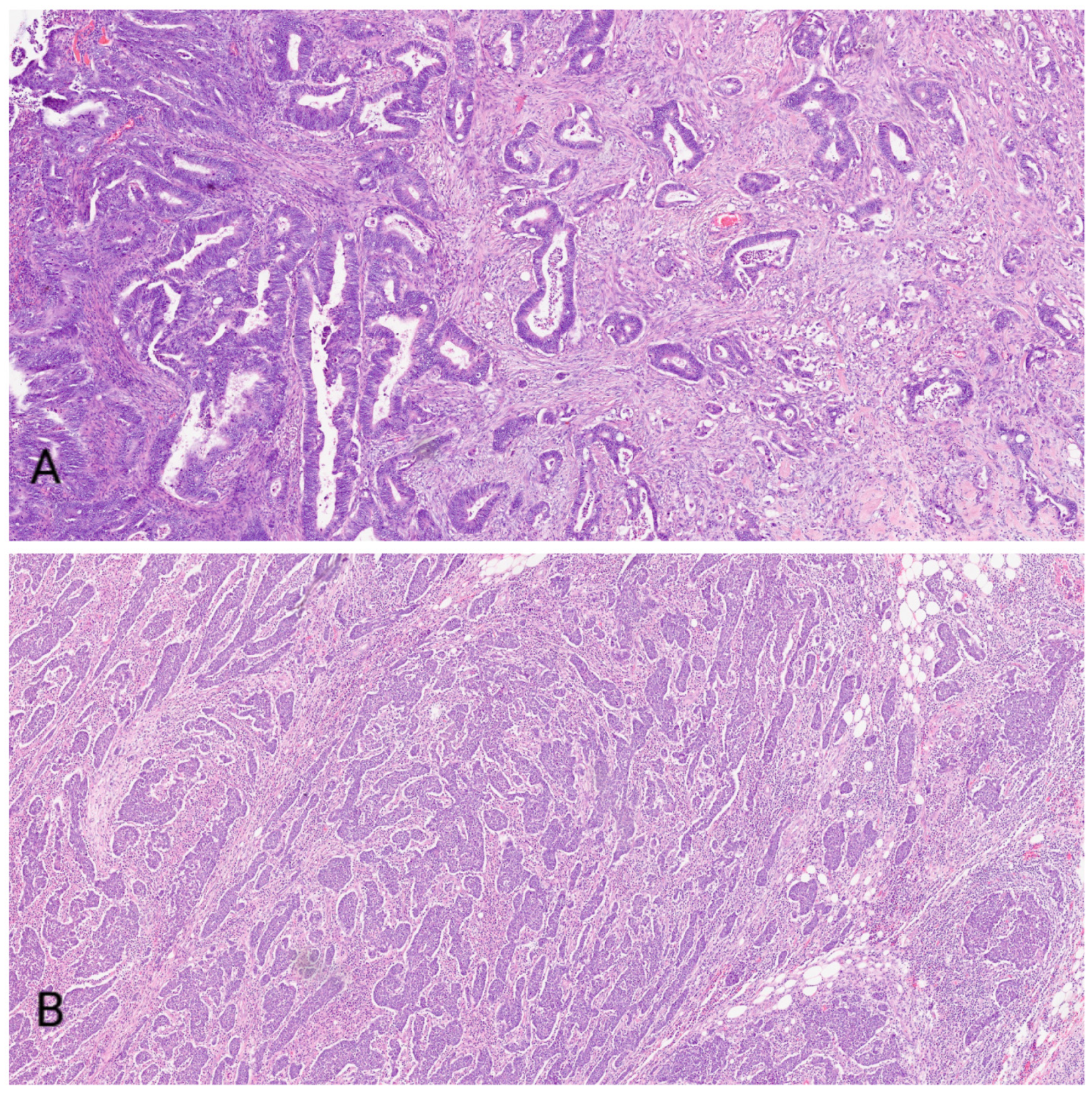 Medicina 58 01135 g001