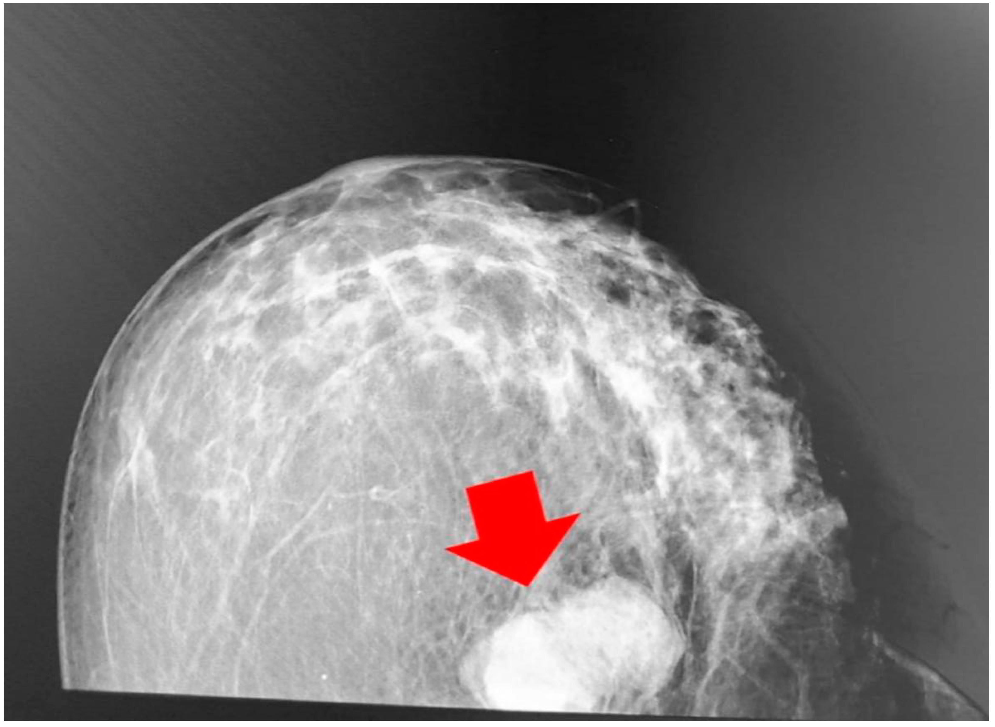 Medicina 58 01146 g001