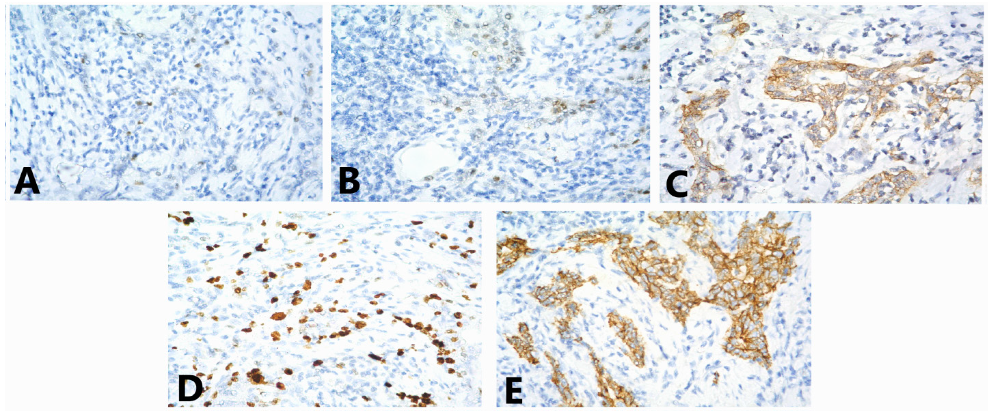 Medicina 58 01146 g006