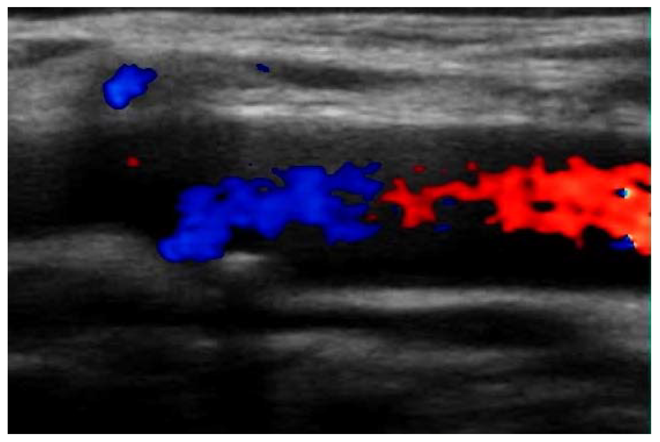 Medicina 58 01147 g001