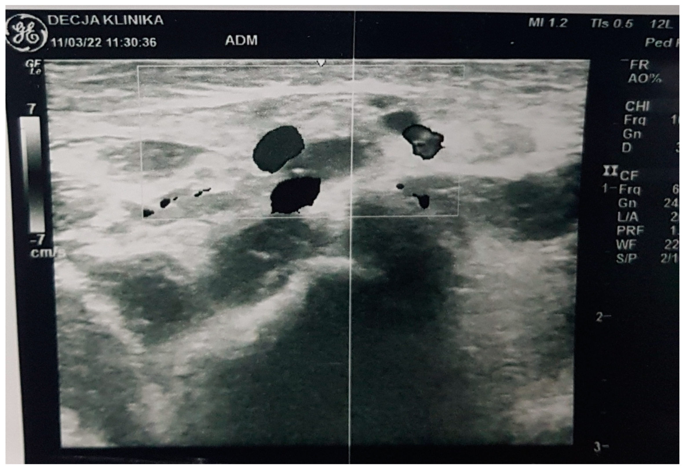 Medicina 58 01150 g001