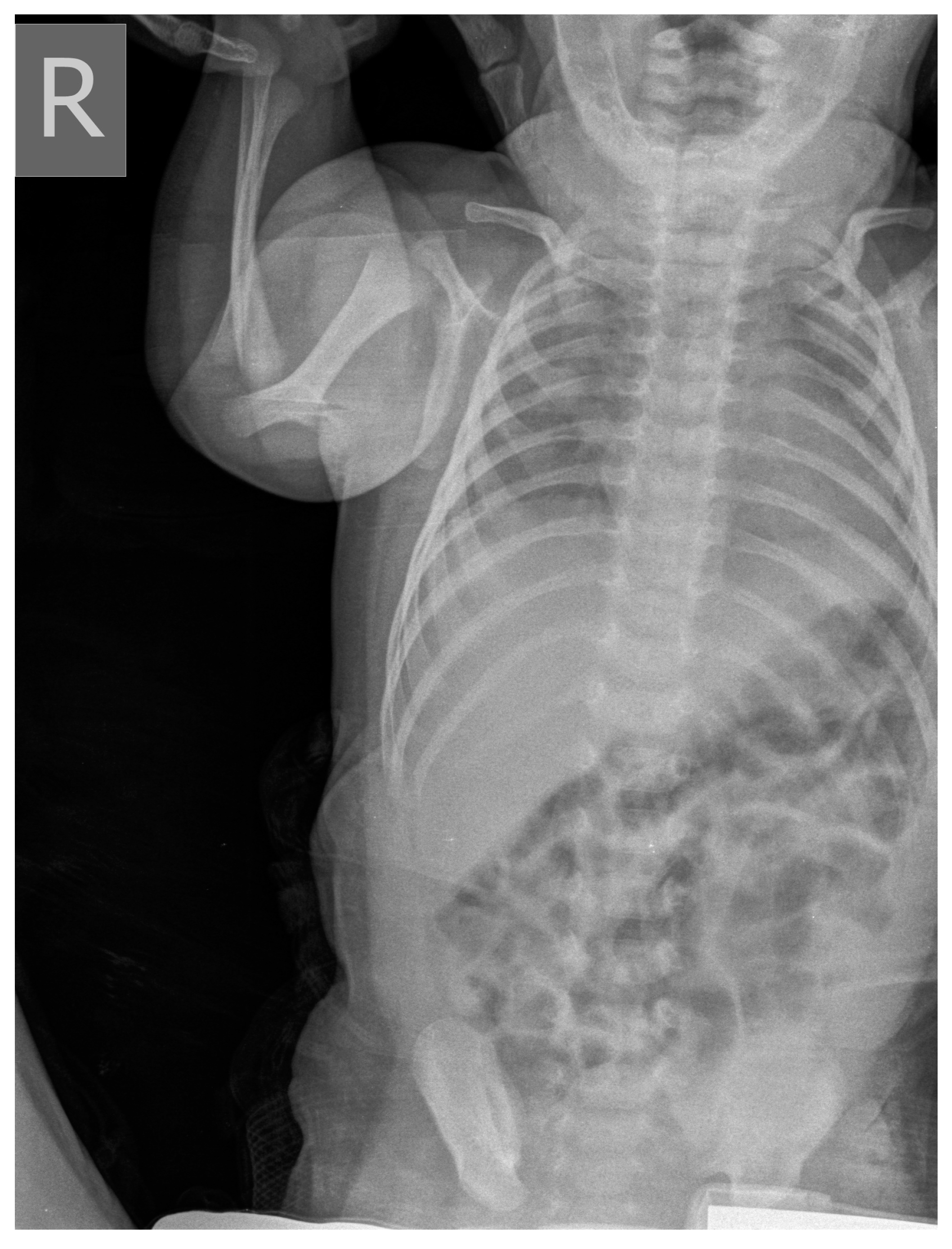 Medicina 58 01150 g004