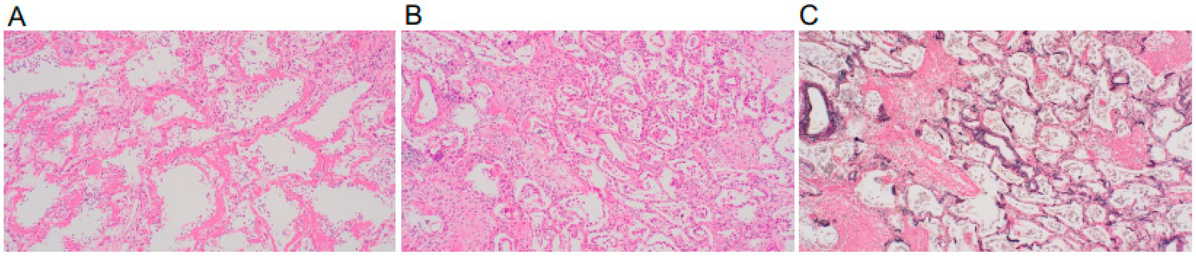 Medicina 58 01151 g003