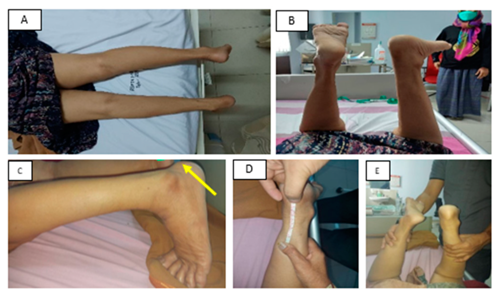 Medicina 58 01216 g001