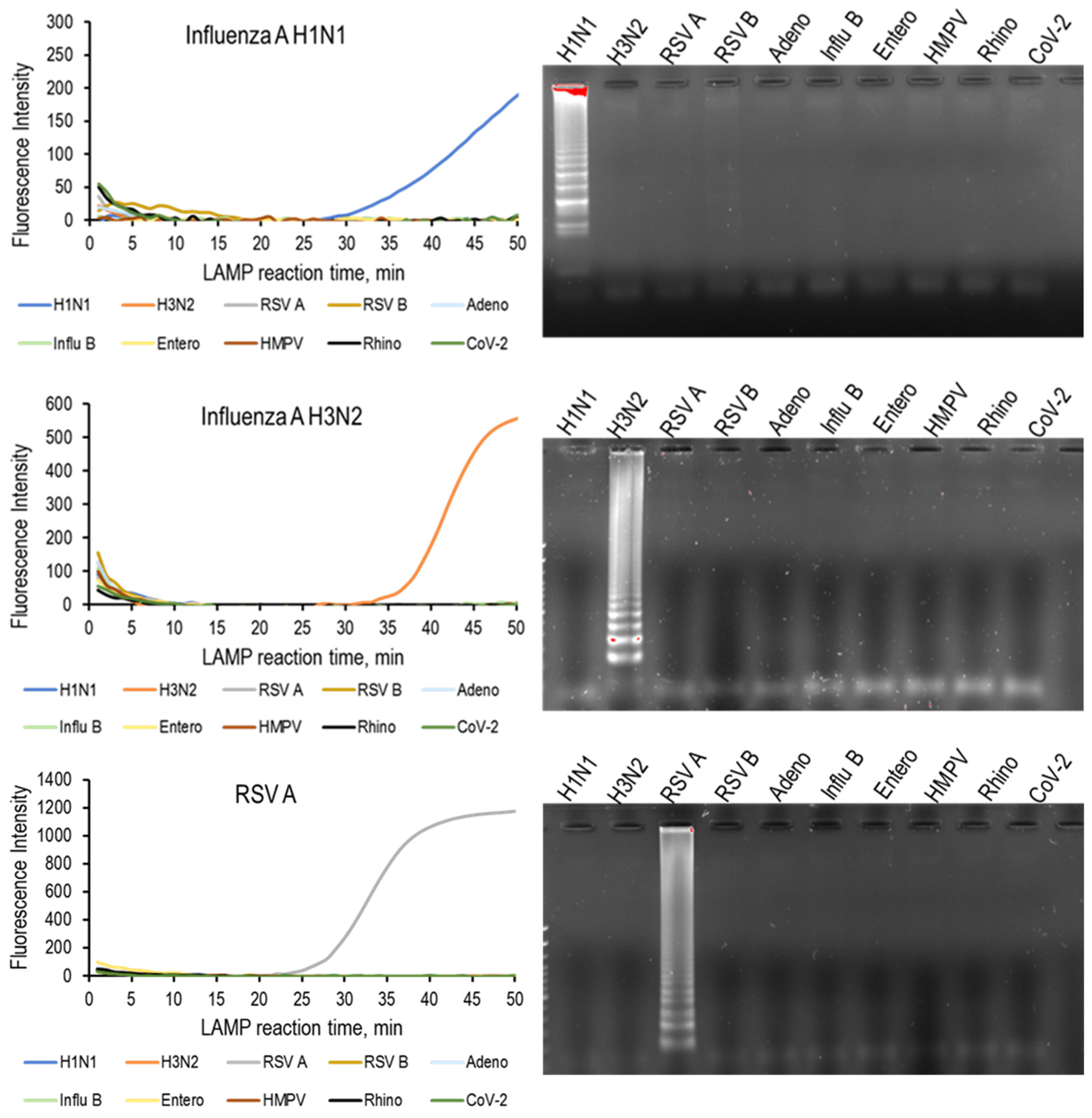 Medicina 58 01224 g001a