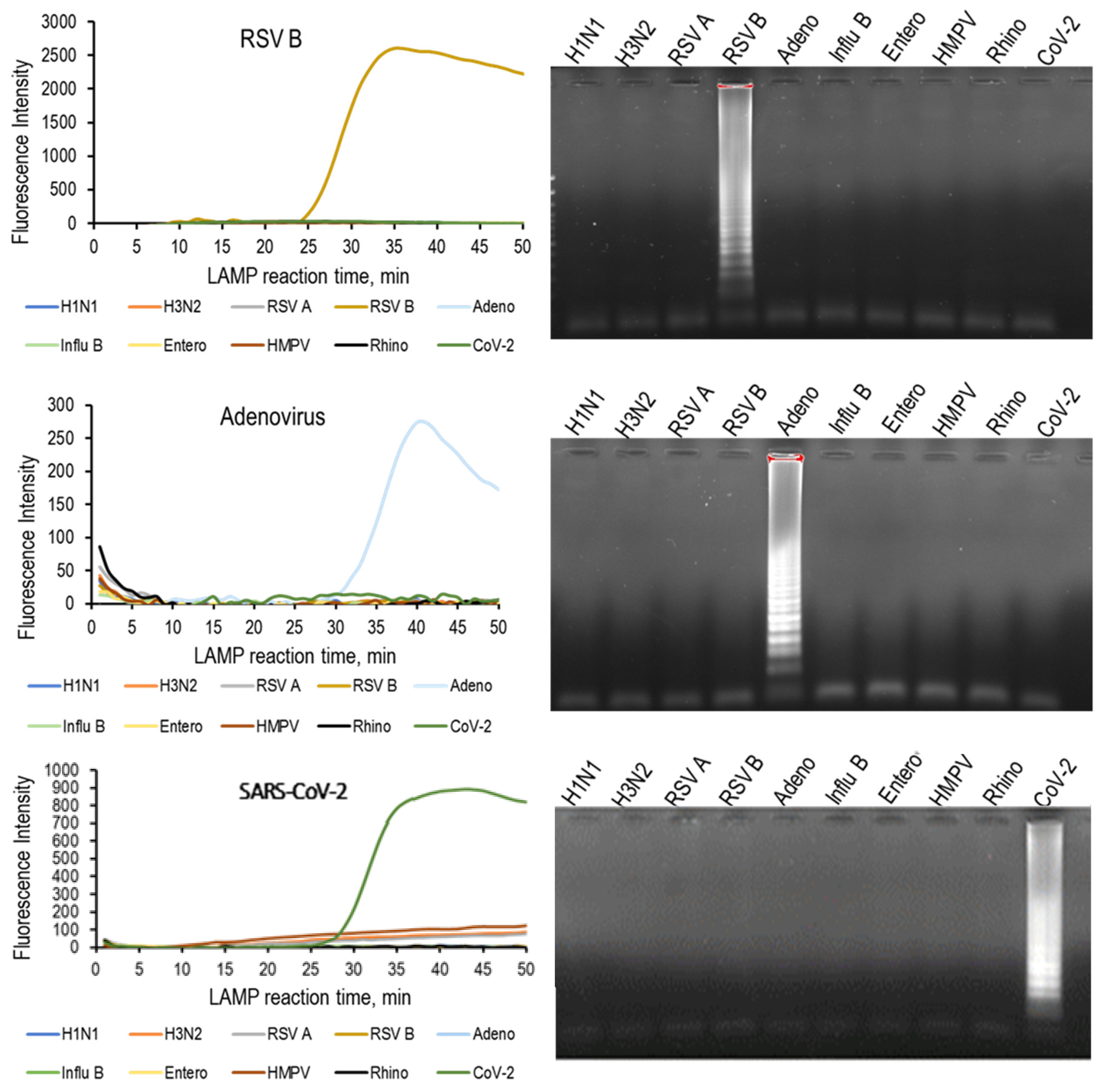 Medicina 58 01224 g001b