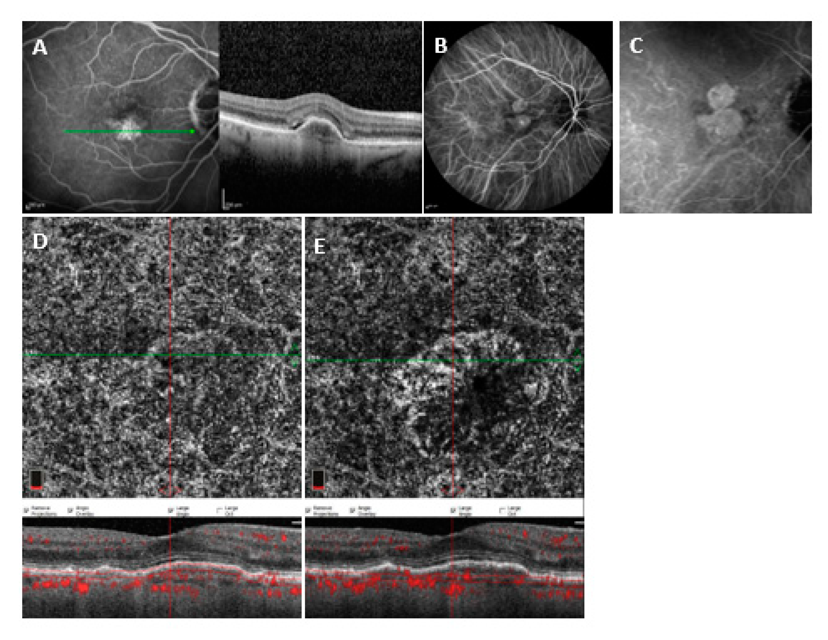 Medicina 58 01246 g002
