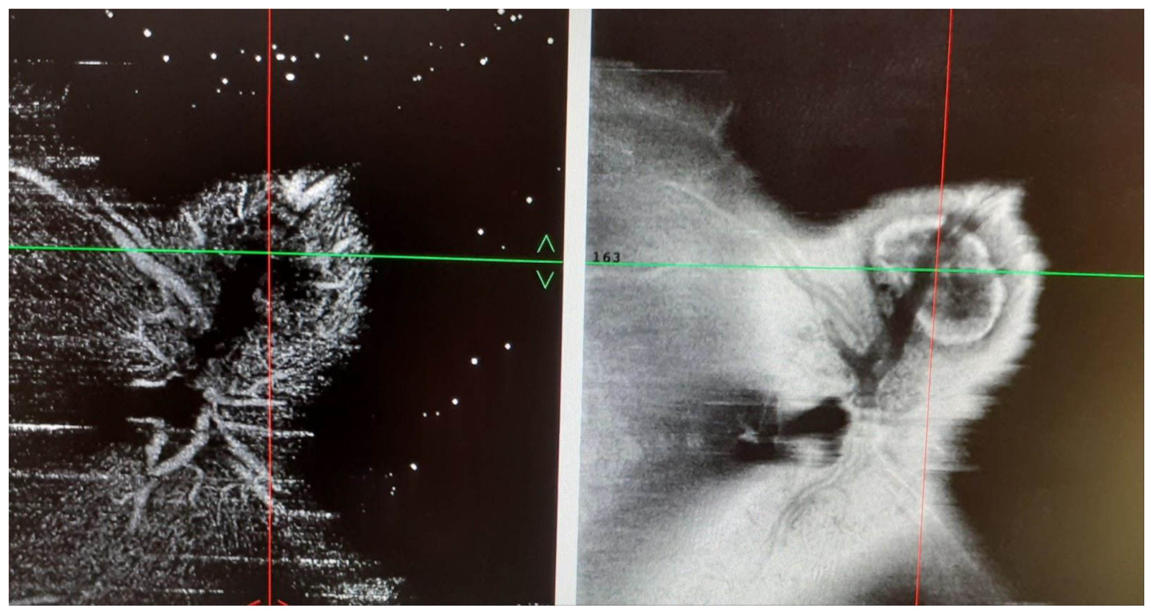Medicina 58 01260 g004a