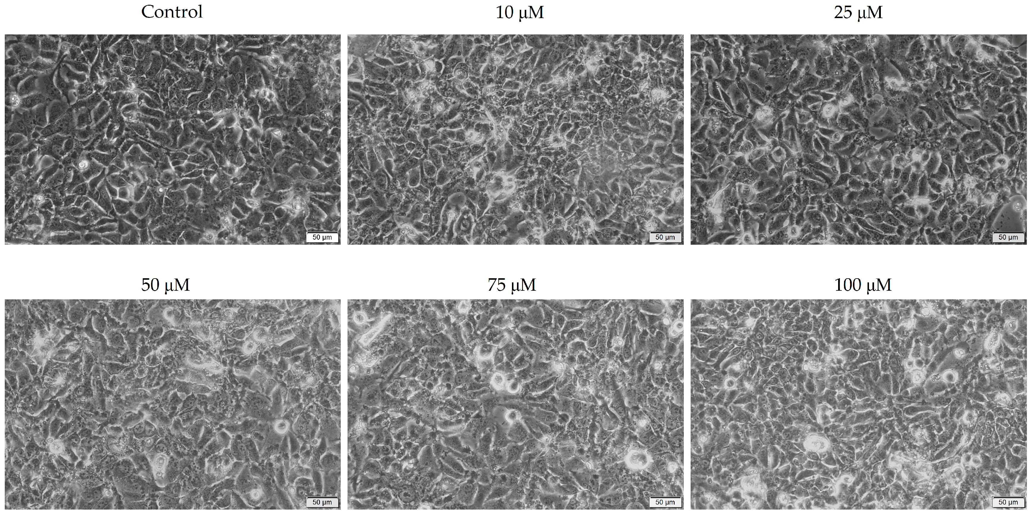 Medicina 58 01289 g003