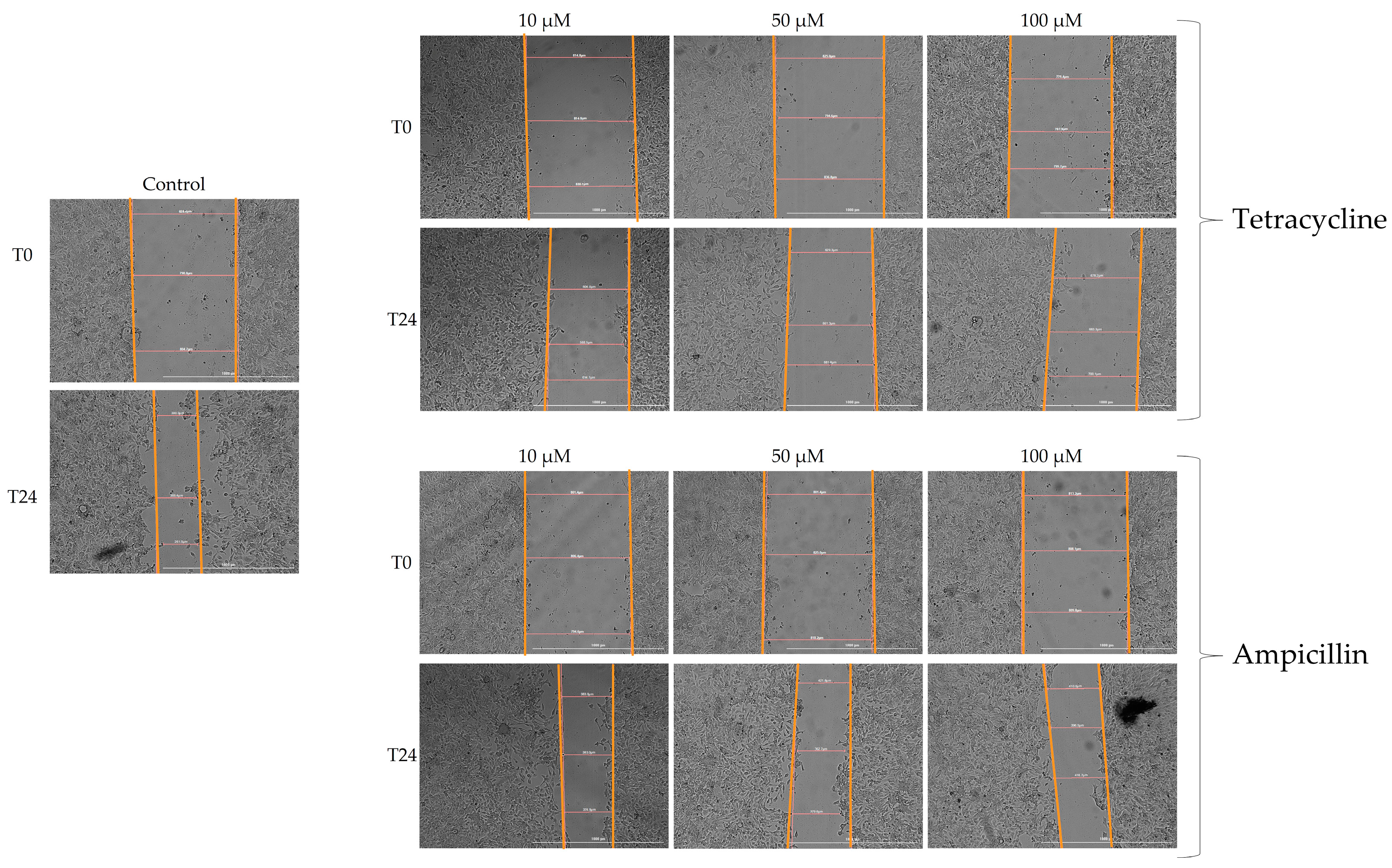 Medicina 58 01289 g004