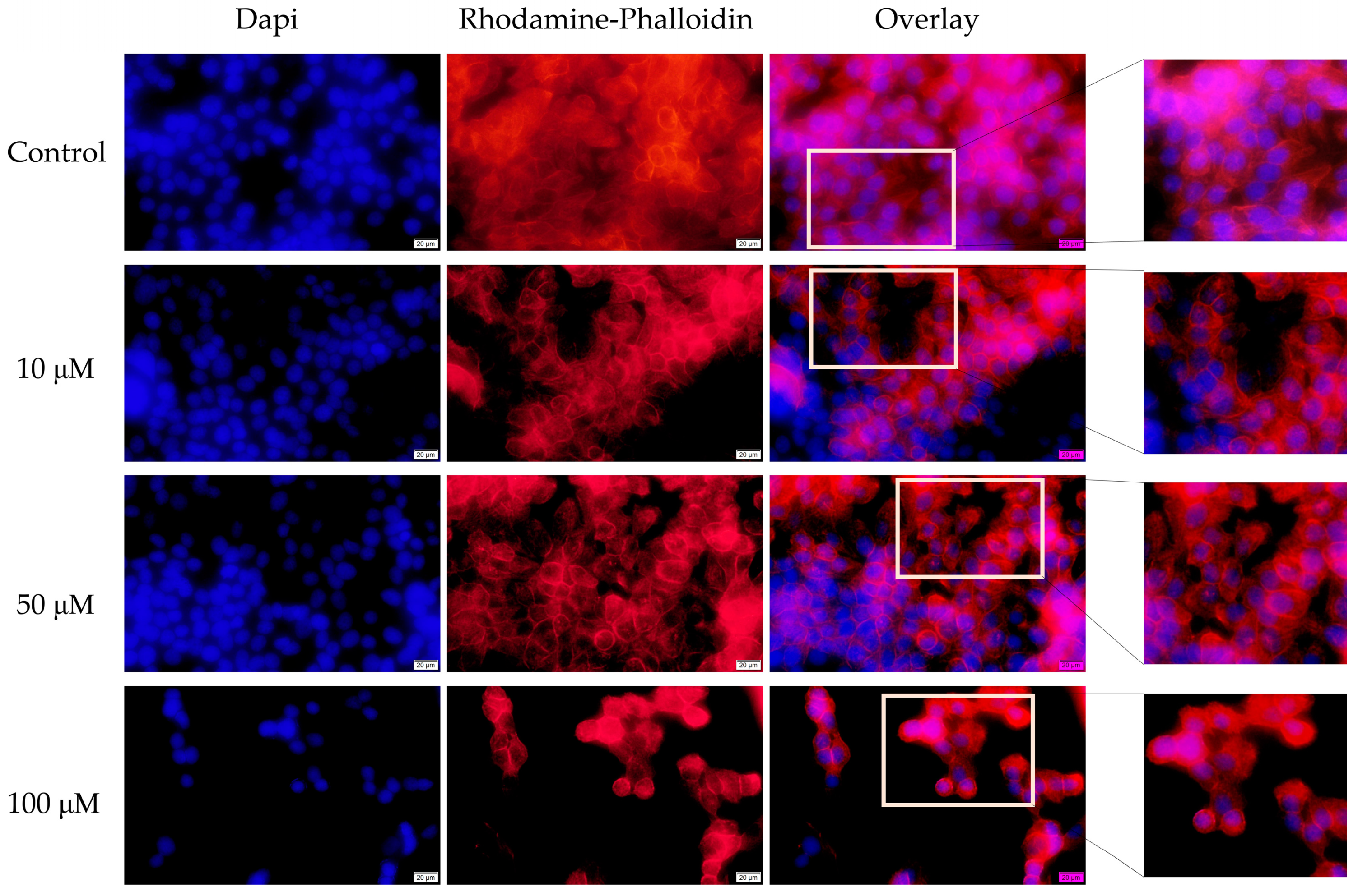 Medicina 58 01289 g006